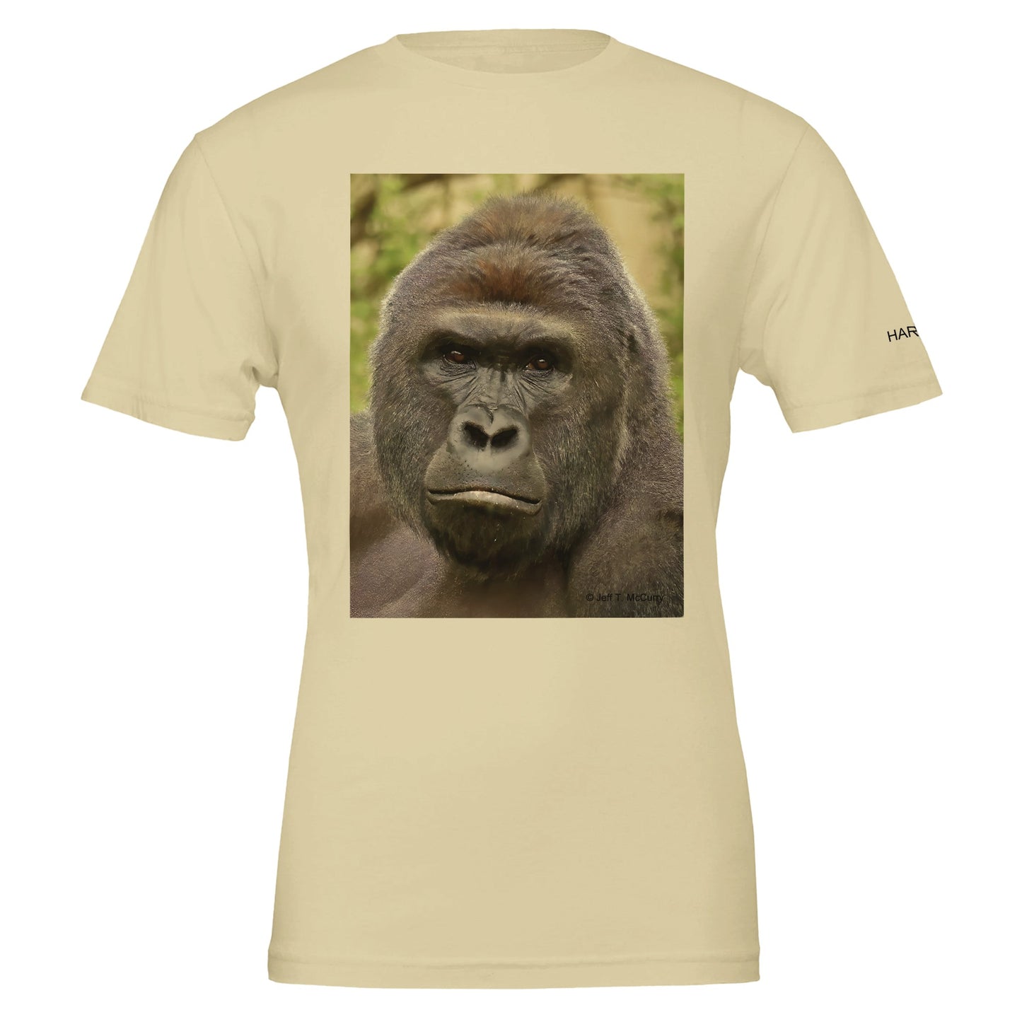 5f96daf8-430f-4a6a-8b76-c2cccbe1726e