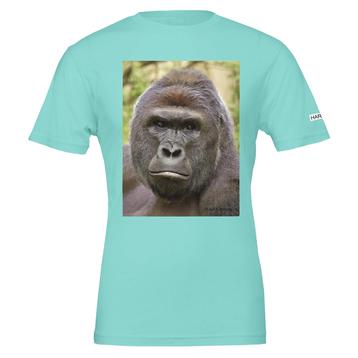 6120ebe9-8fee-47cf-a674-b0be723c9c29