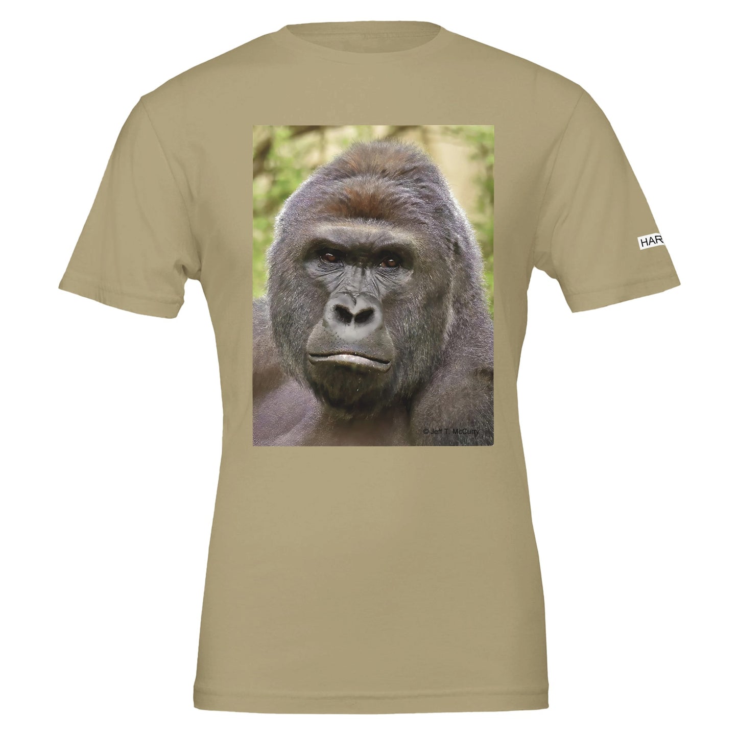 621fe3f8-5585-49e4-a438-0b16779e27fa