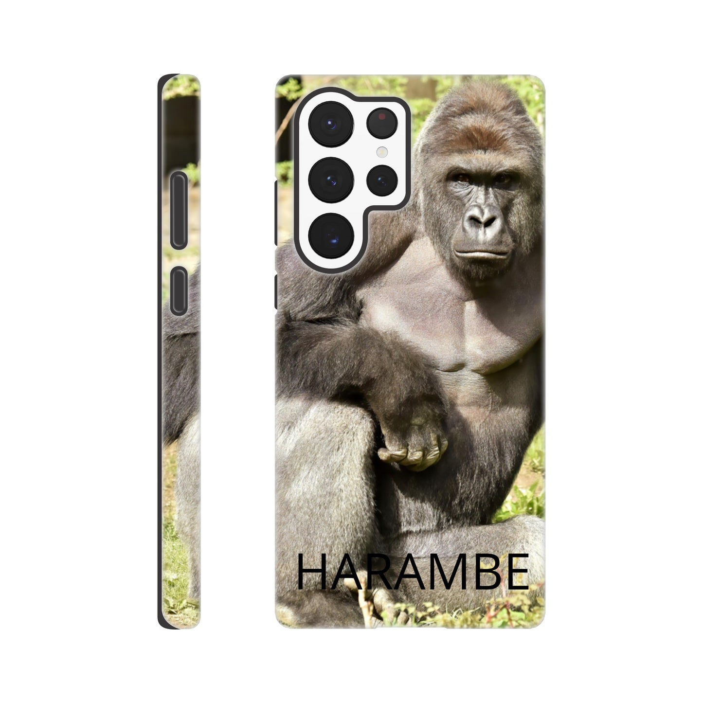 634e2e90-2239-4f83-b806-af6abda768e9