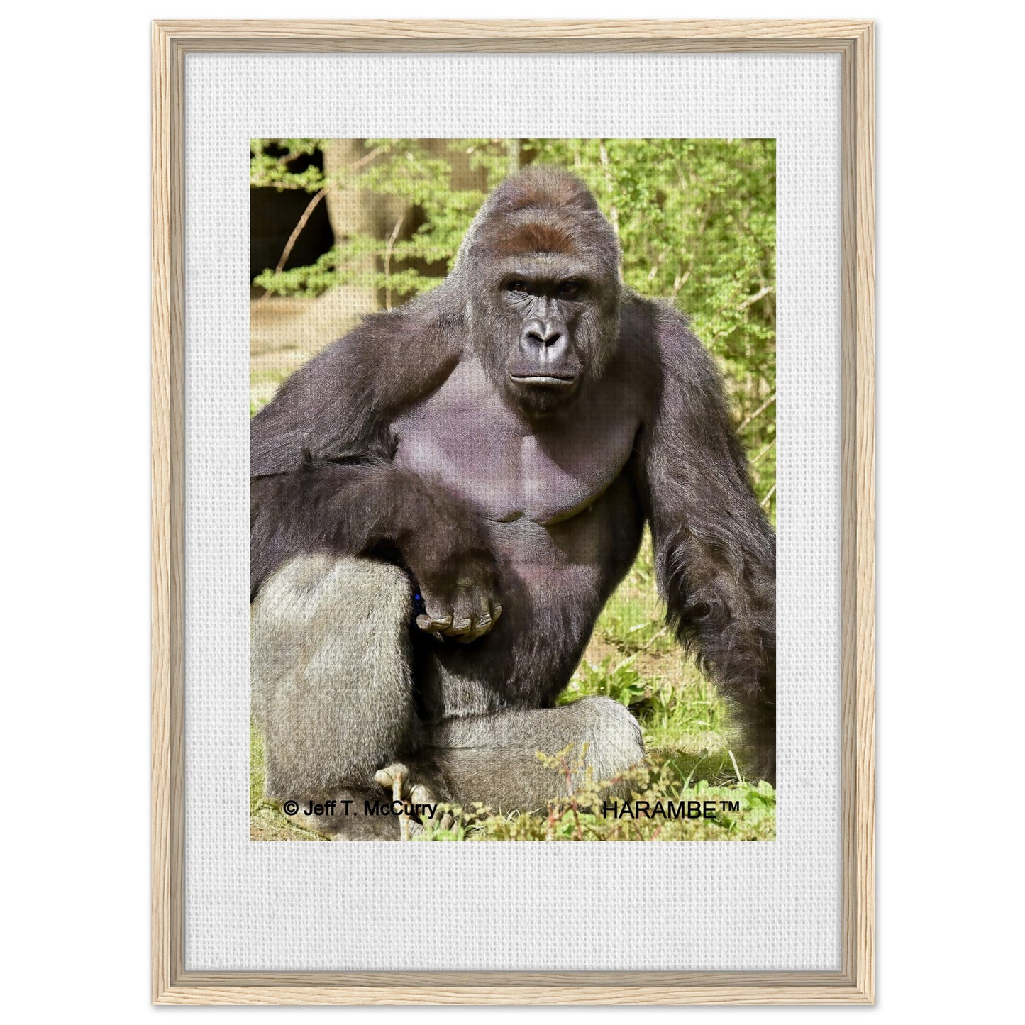 63e42f81-de0c-4791-8459-48719051dc26