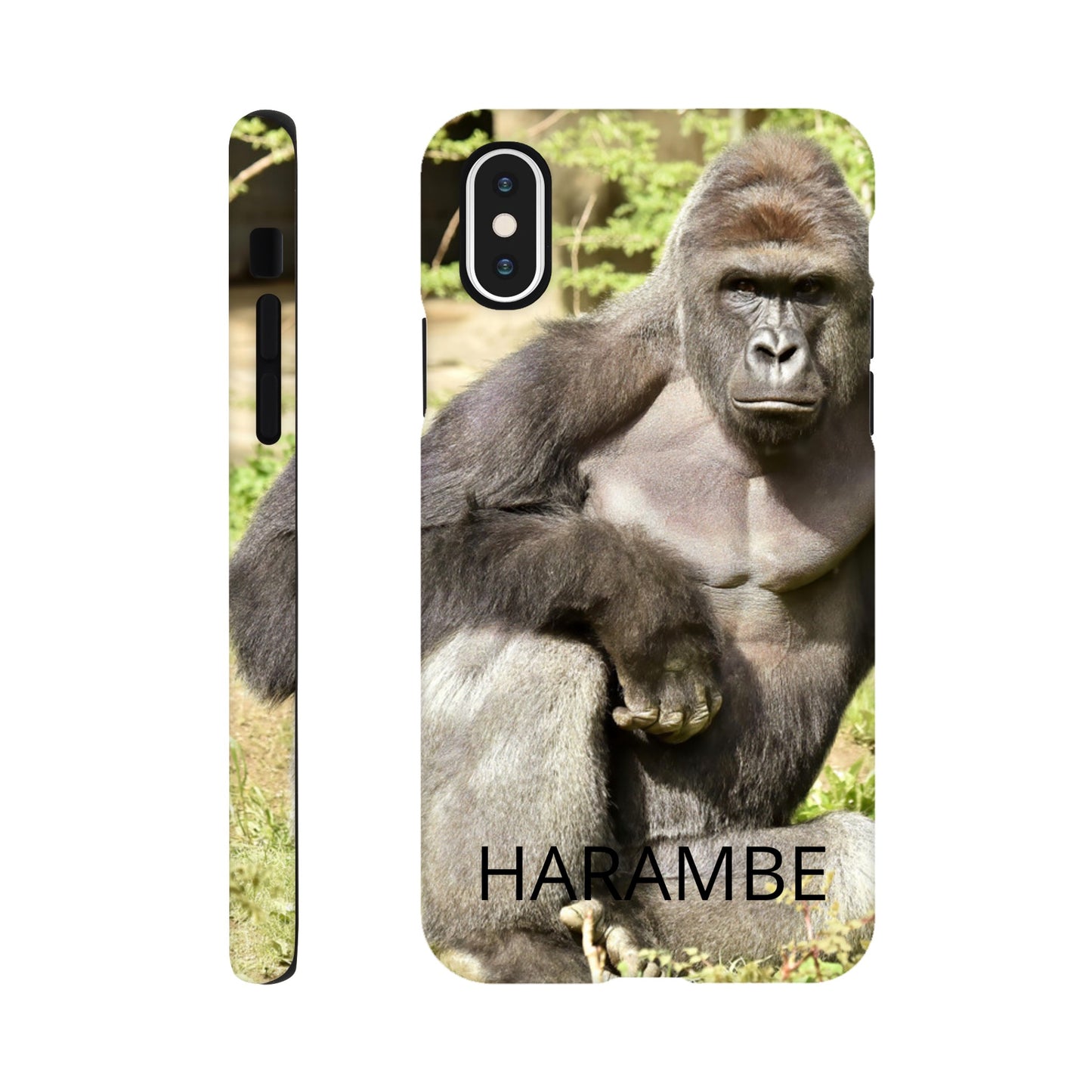 675e4d14-6297-4f19-9253-f6a618875ab0