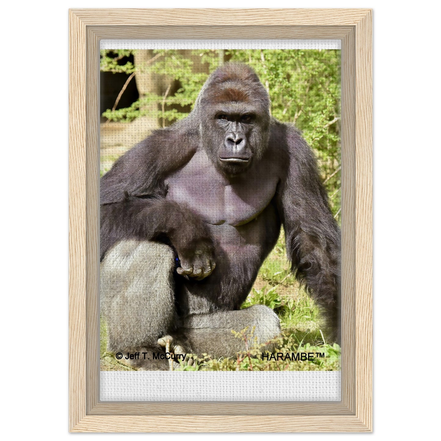 6fd1fb2b-e262-4988-a186-cb9e8944abf5