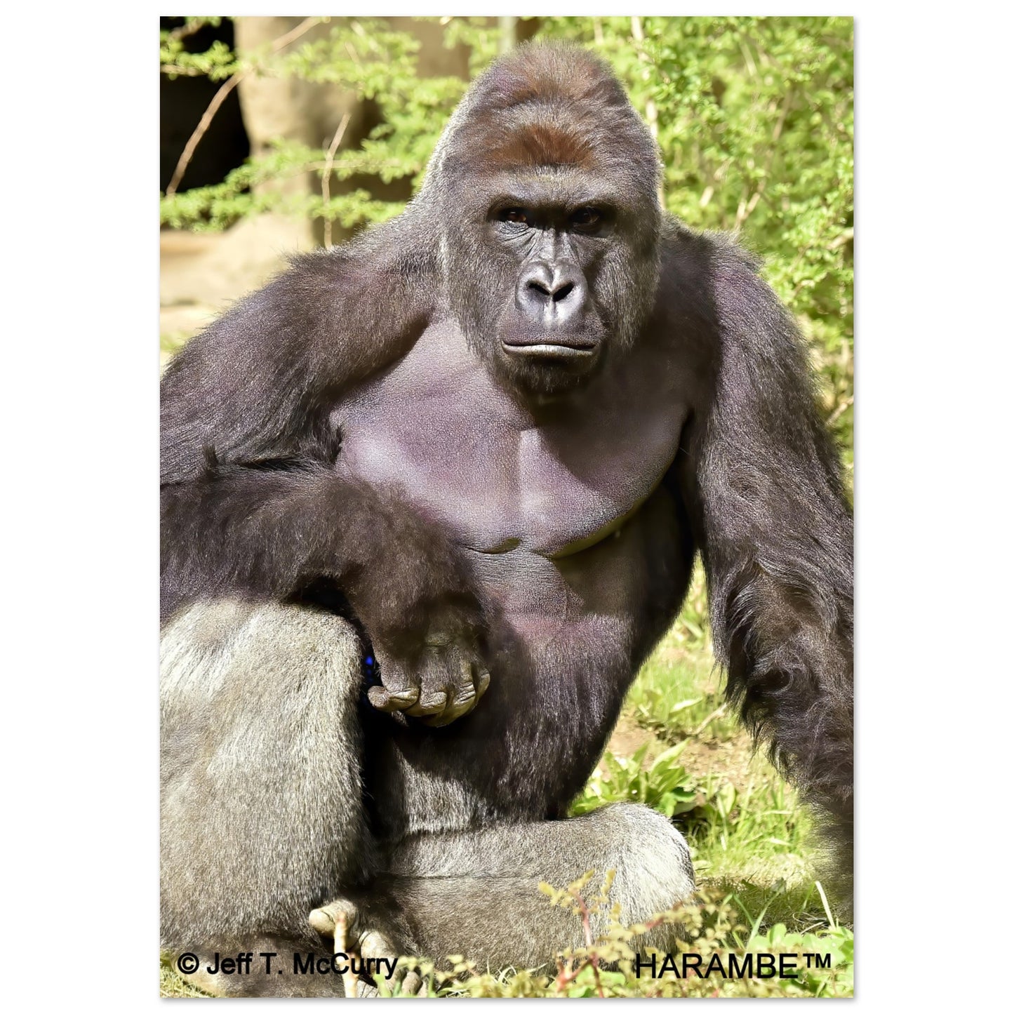 7100118e-ae4e-41fb-a1a3-75192f7dc06b