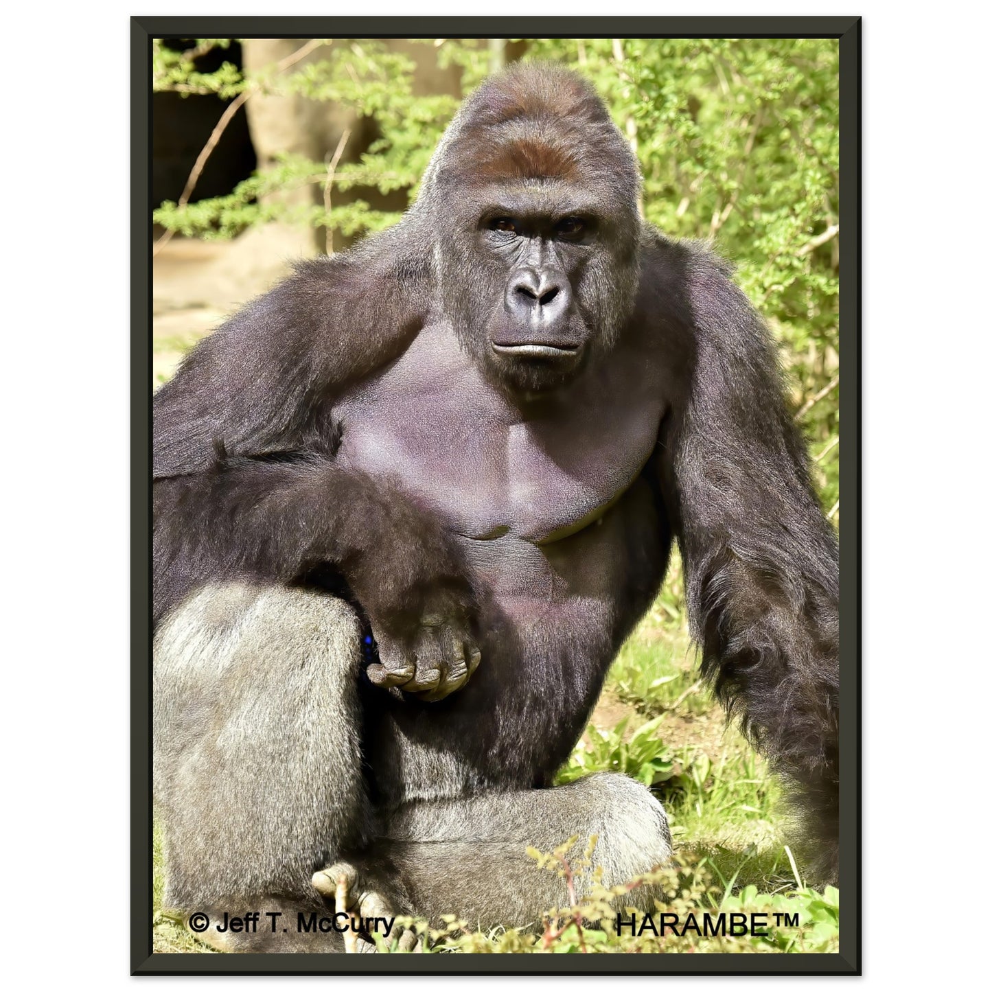 739d64bc-8b72-4e45-88b7-0e89189bdeec