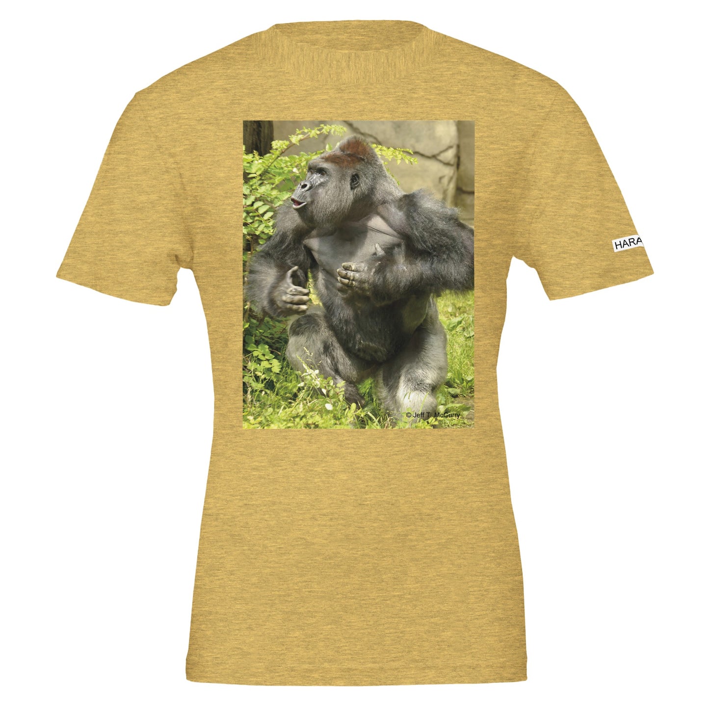 74f77558-050f-49e8-8dee-9af8898d95a2