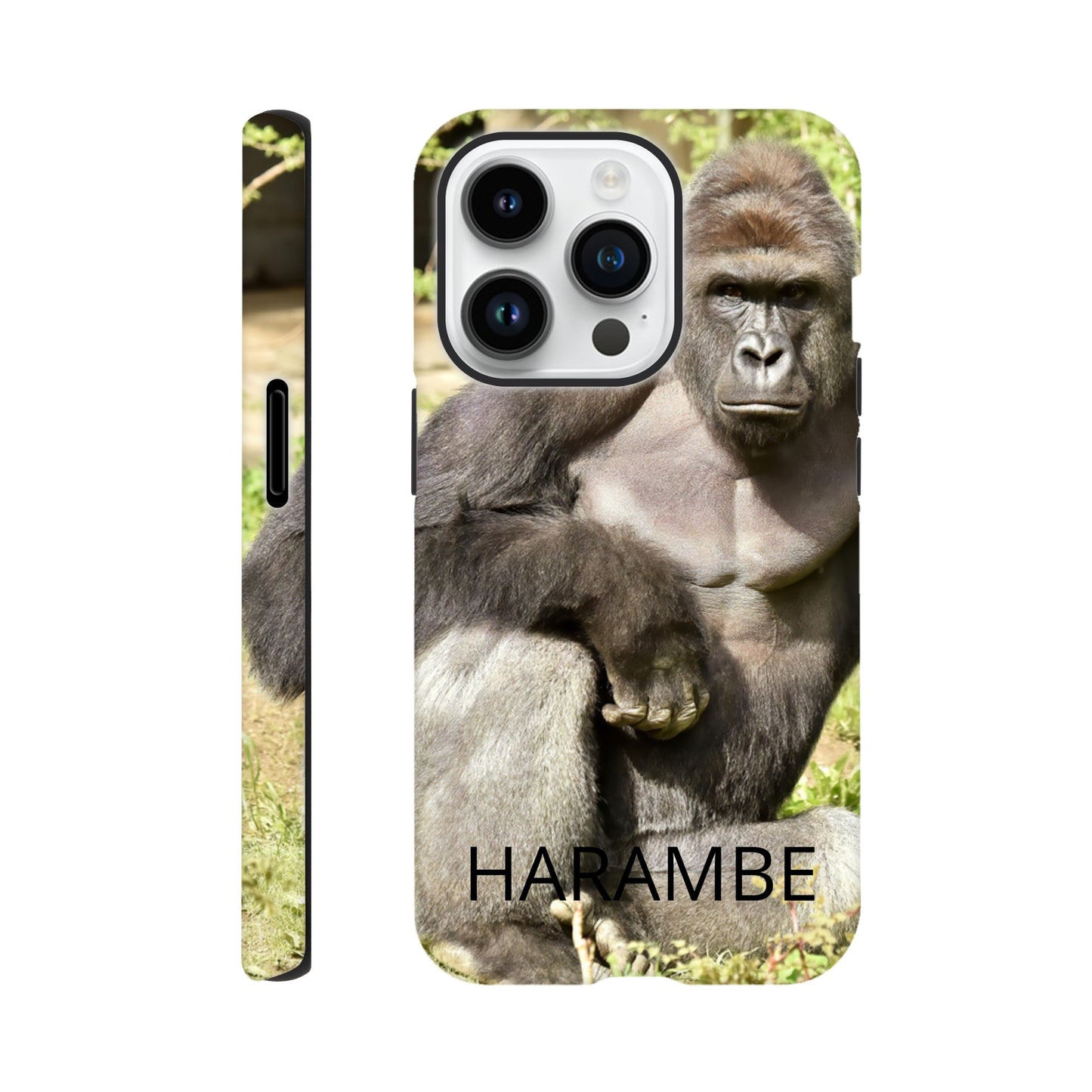 77026abe-478a-4613-b13e-ed3f1a41fcb1