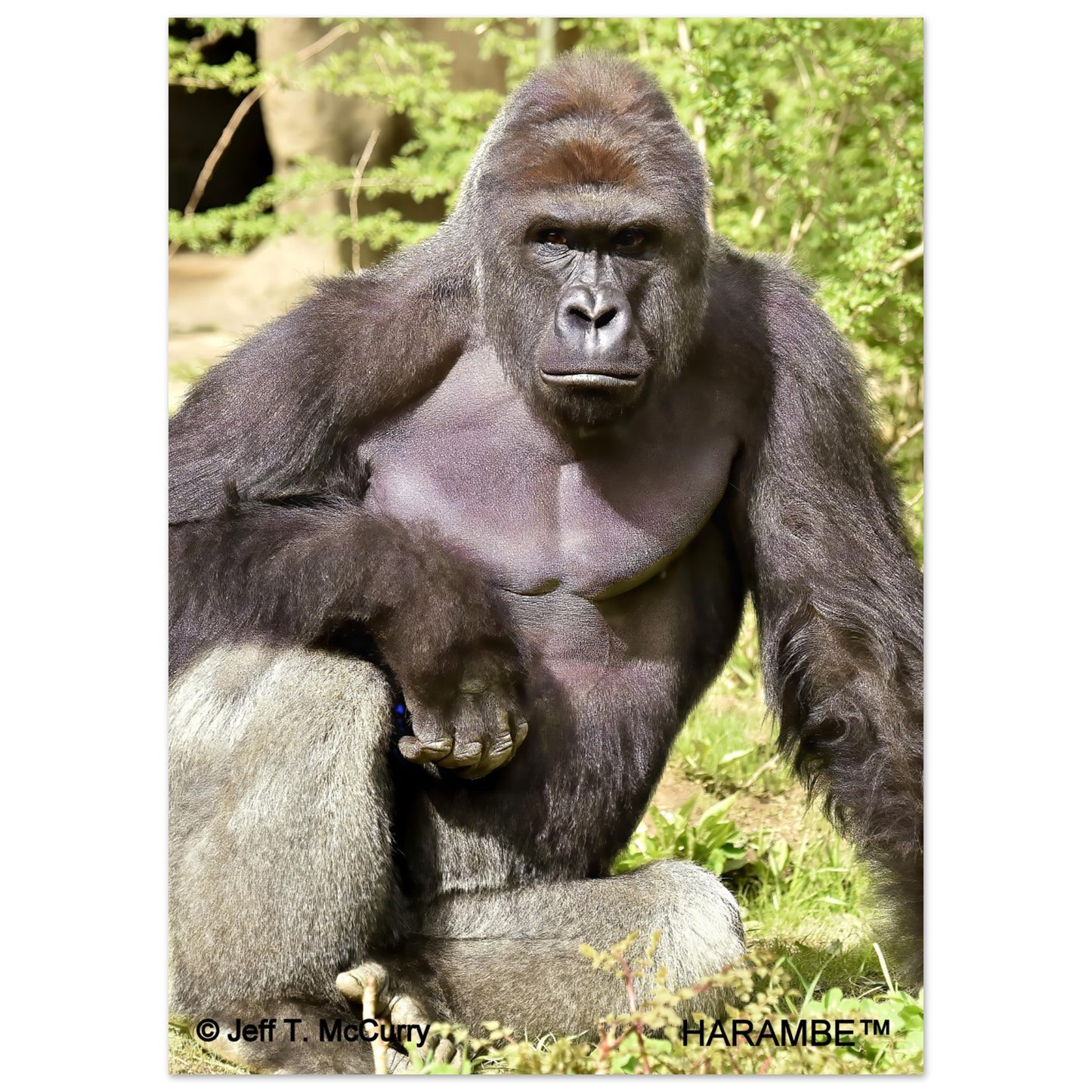 77e0a235-c3f7-4a72-b568-225b9139d16a