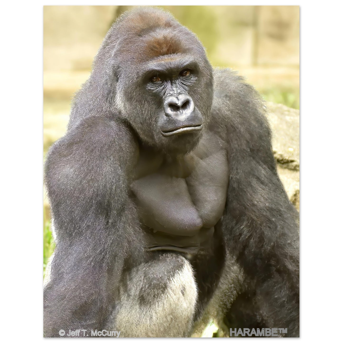 7abdda22-a26d-4b33-a35b-8ff031bef5c3