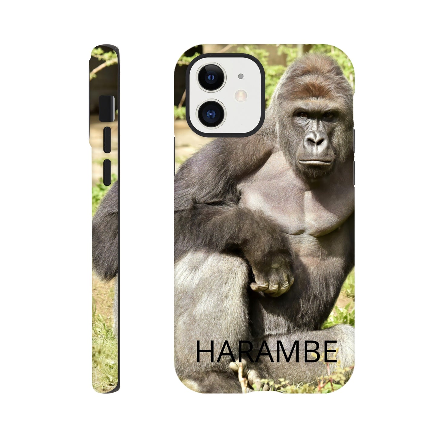 7af8a10b-0198-4f23-a4a6-fd0b4cdf5433