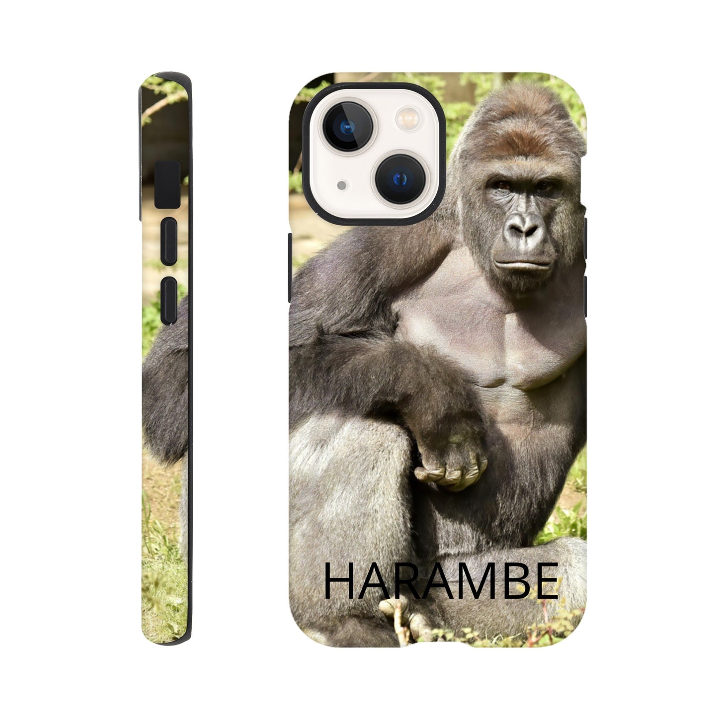 7bec5594-b0ff-4da5-b4f3-f78cccaae128