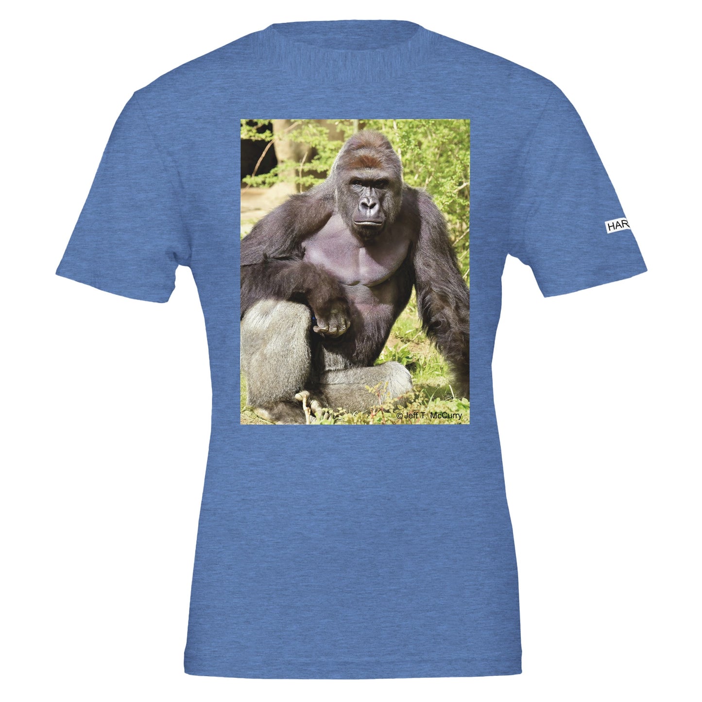 7c7c20d4-8632-4a0d-b000-5f652c130bc6