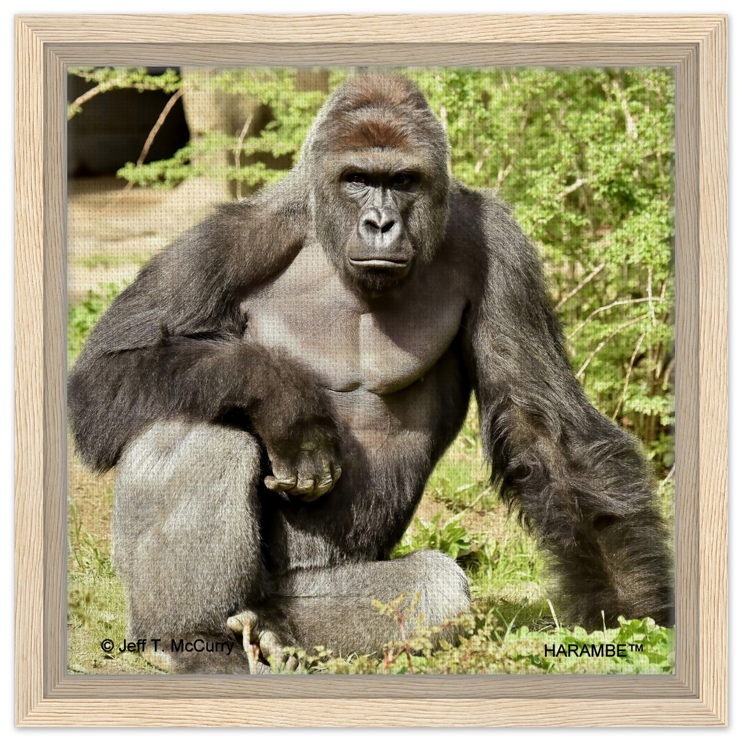 7db99abd-4ca7-4c2a-9e5a-b560ff2481f5