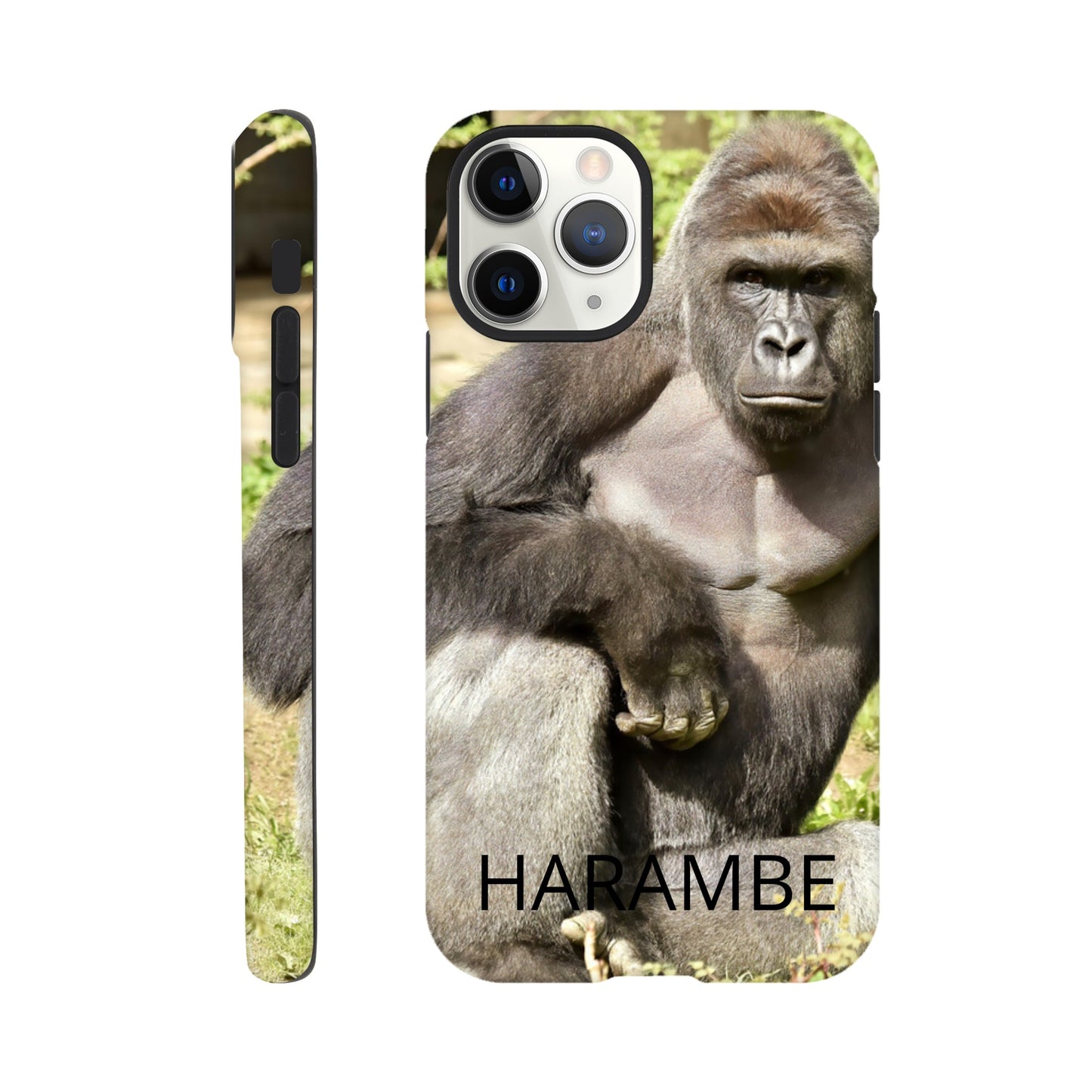 7e987cb2-194e-4cc0-ba6f-4956fac0c0cb