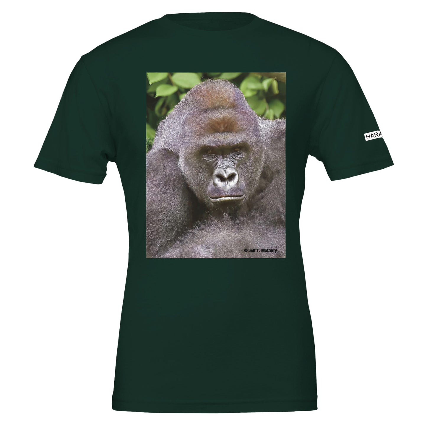 7fdb9e78-b0ae-459f-a507-effb9515e43b