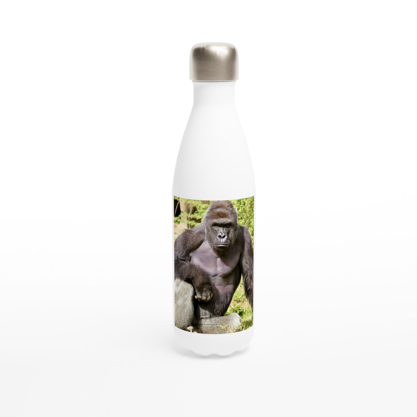 80606d3c-abea-4986-ba88-327290340c2c