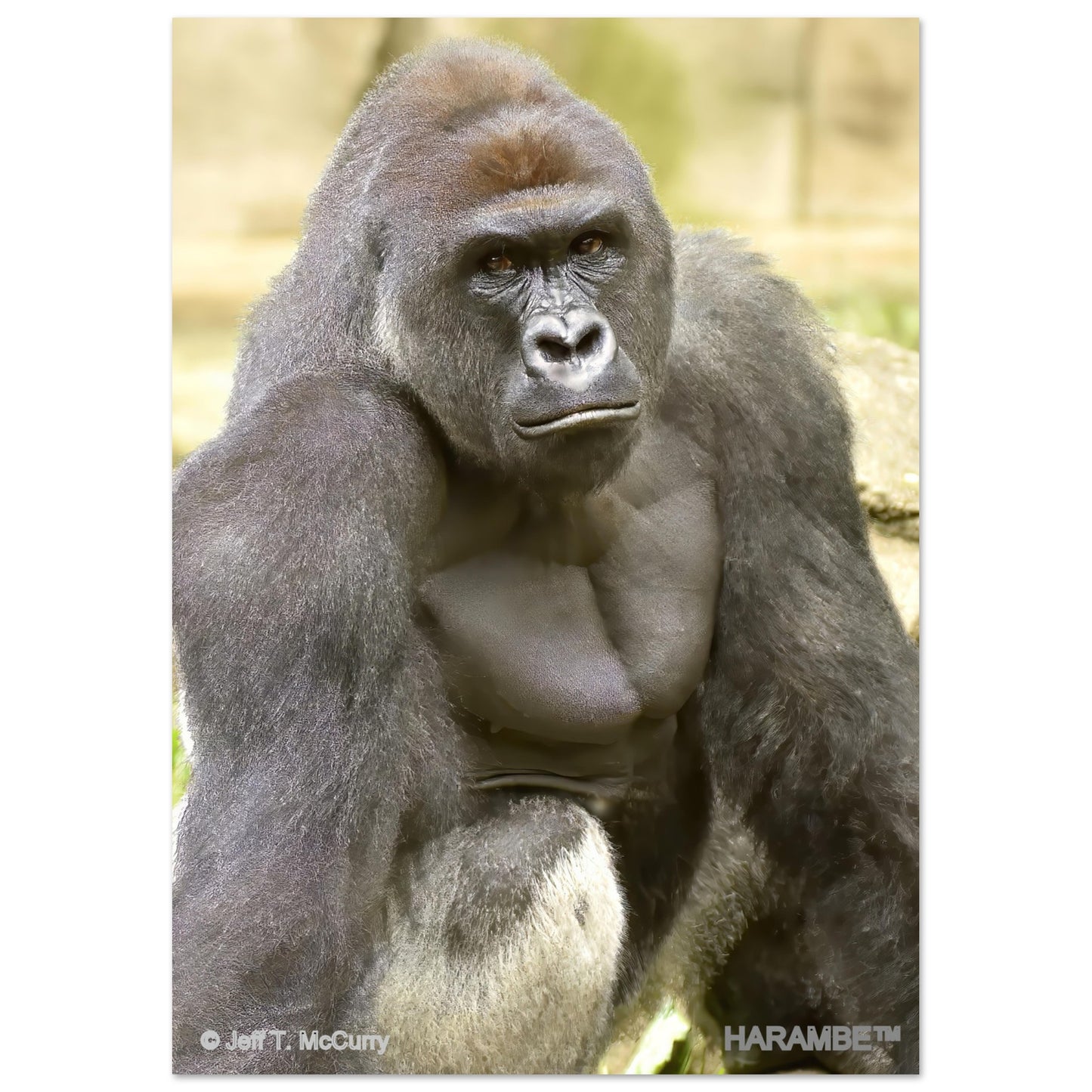 8152e633-0a22-48b9-8a34-2e02a8d626ff