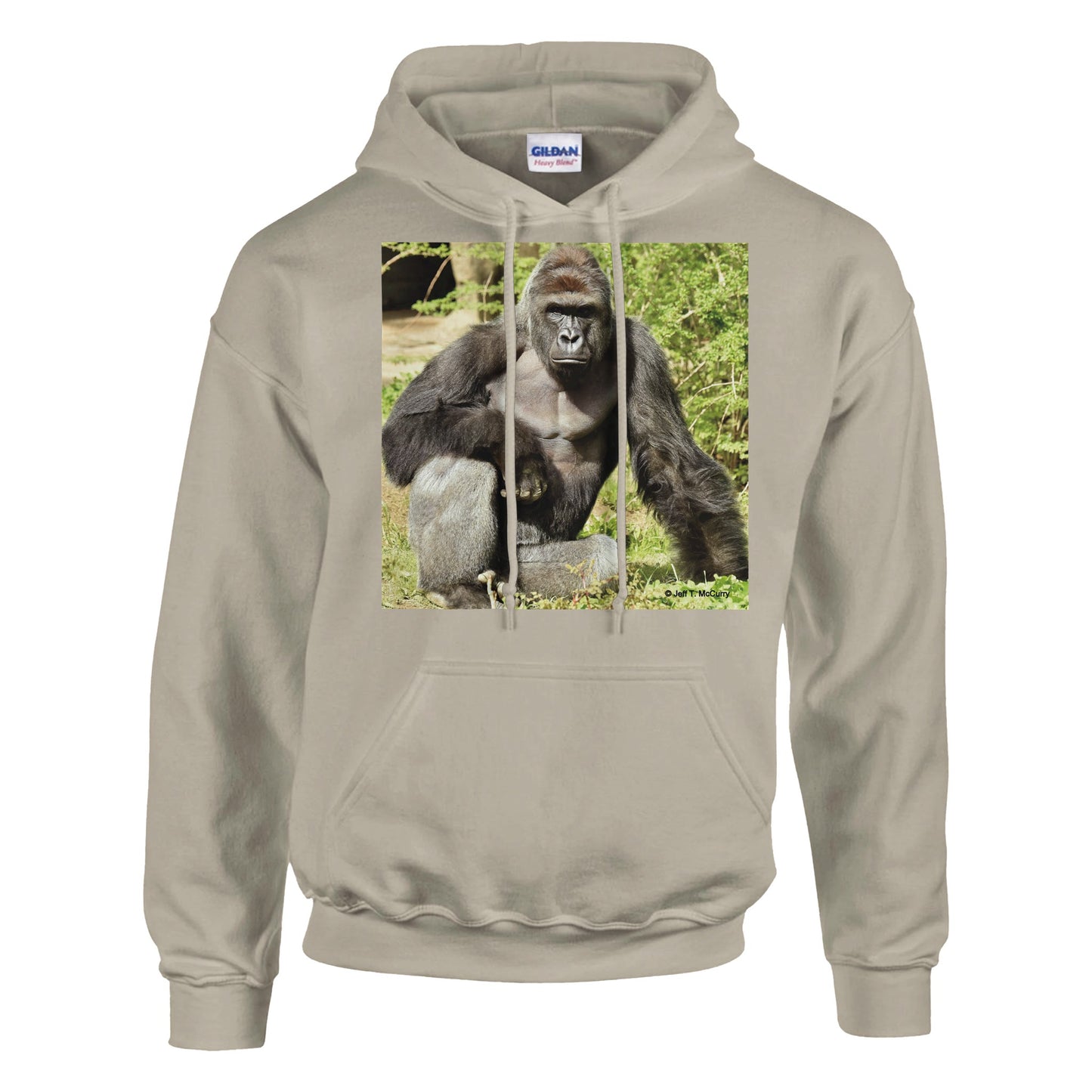 823801dc-fe7c-4cc2-9b0e-d632c84dd246