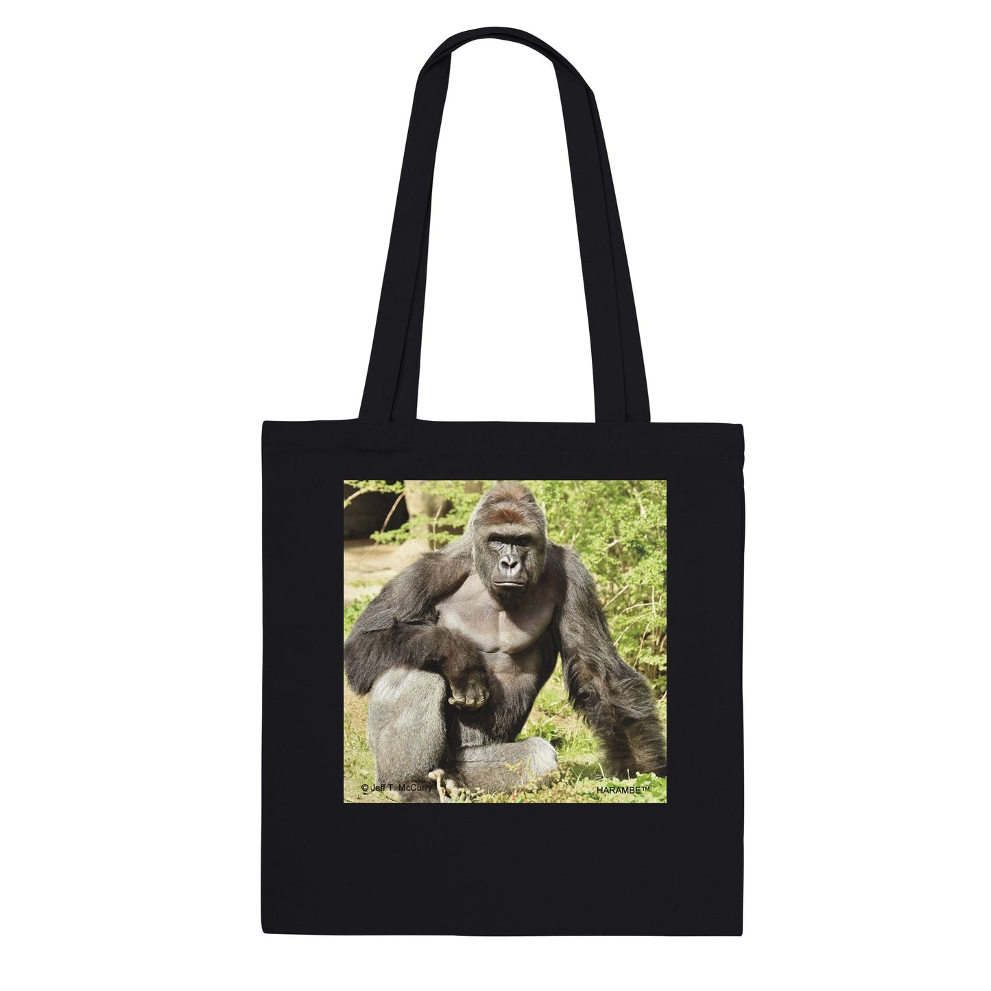 83ed659e-903c-46cd-9d53-6d3d0a1d493b