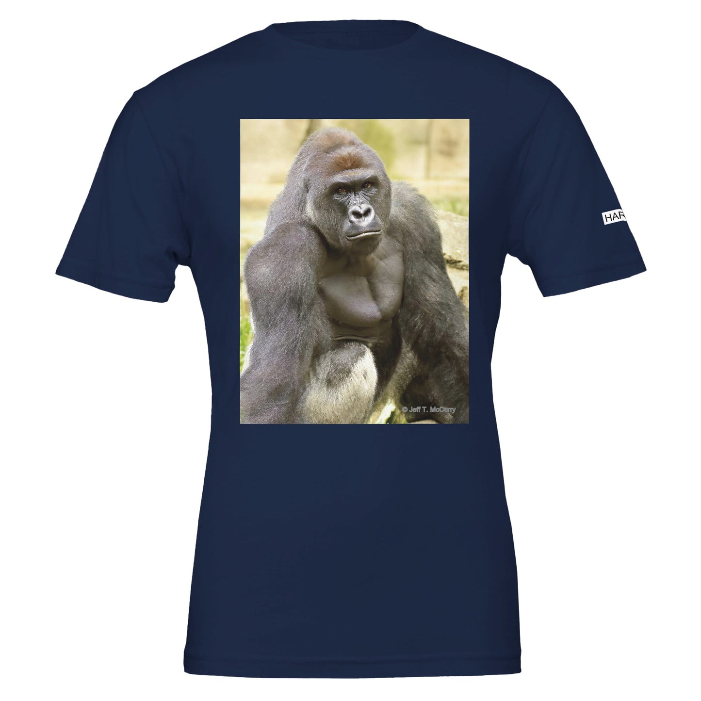 84032dbc-7ae0-4260-acff-eda4d5c8cb95