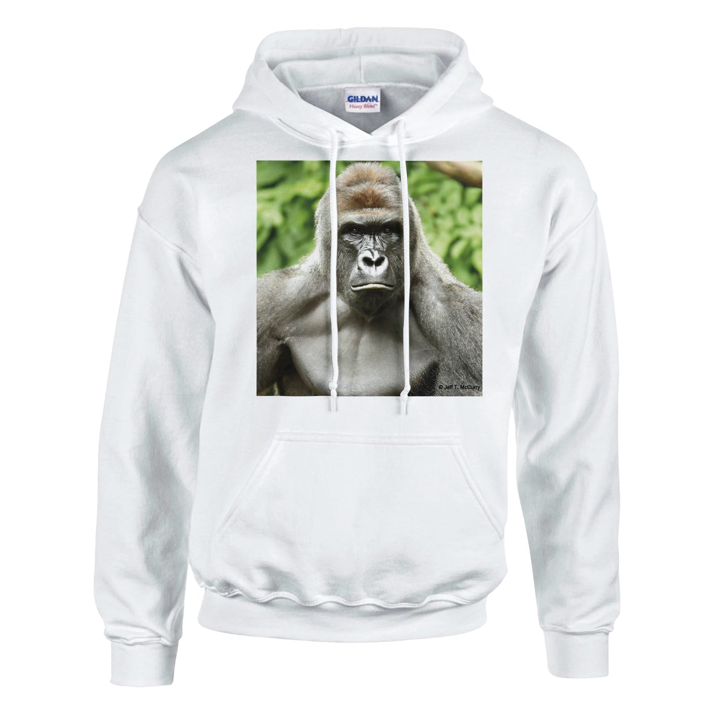 84714751-b284-4668-bf3e-d7a79937237f