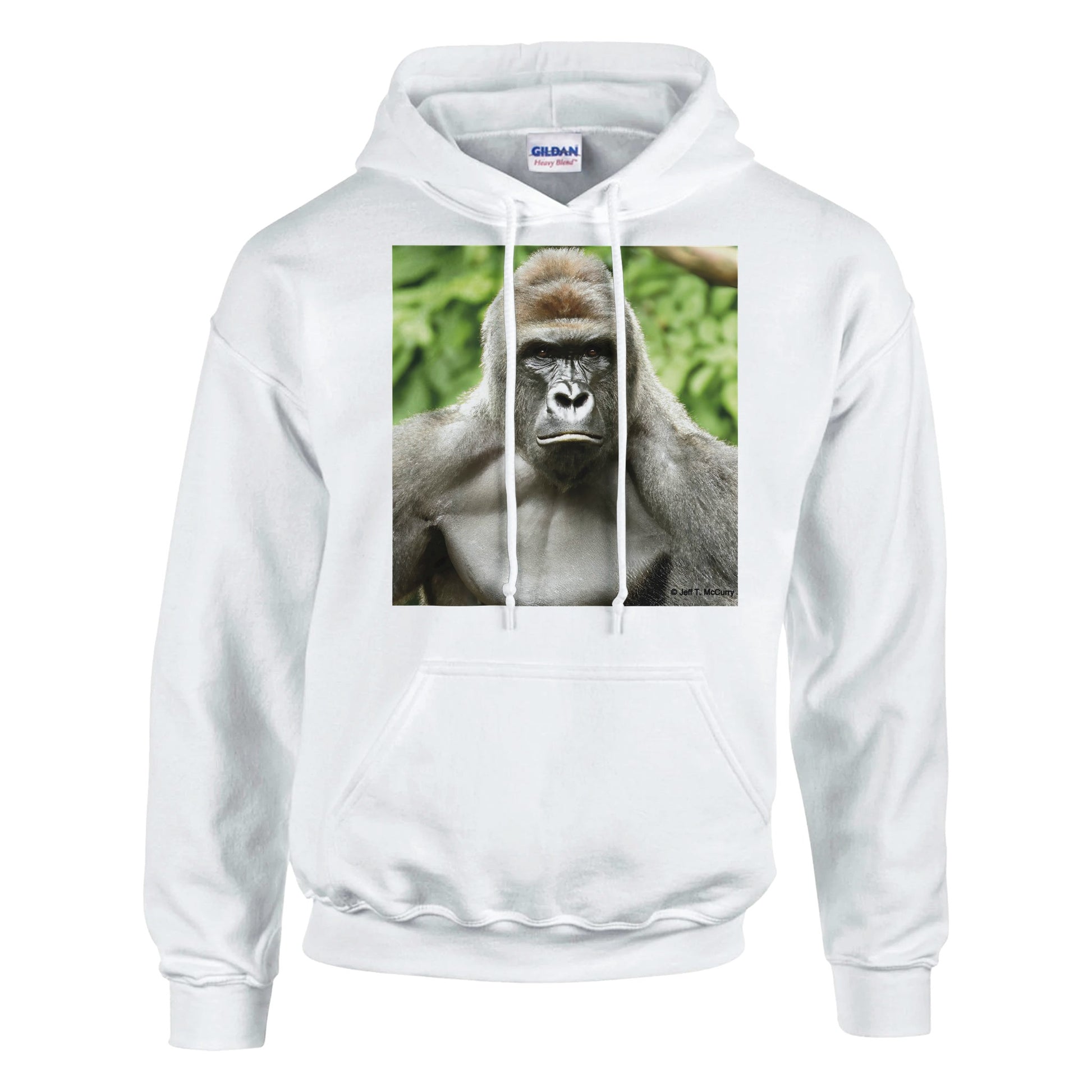 84714751-b284-4668-bf3e-d7a79937237f