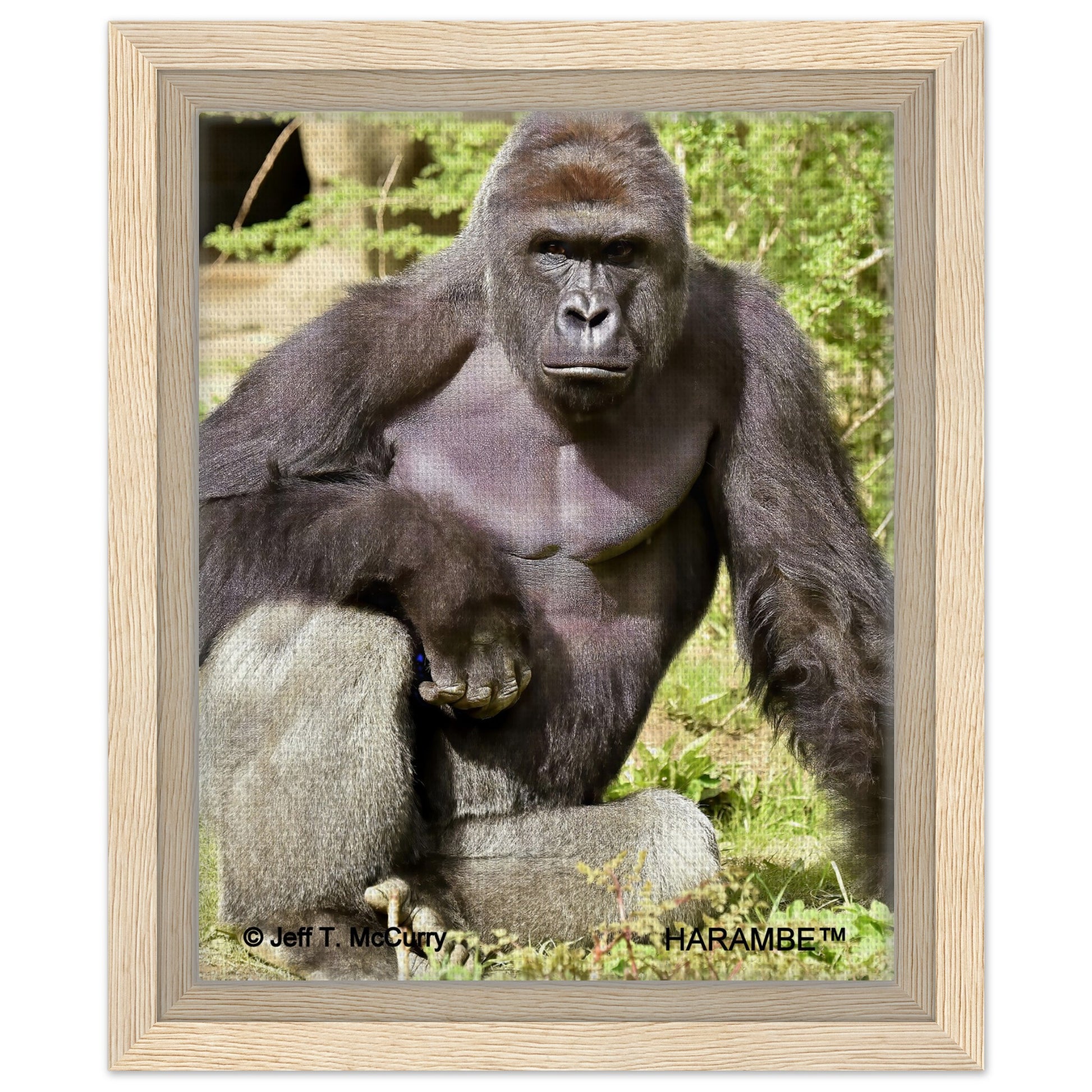 886281b8-9596-4799-9ec4-53de5055afd0