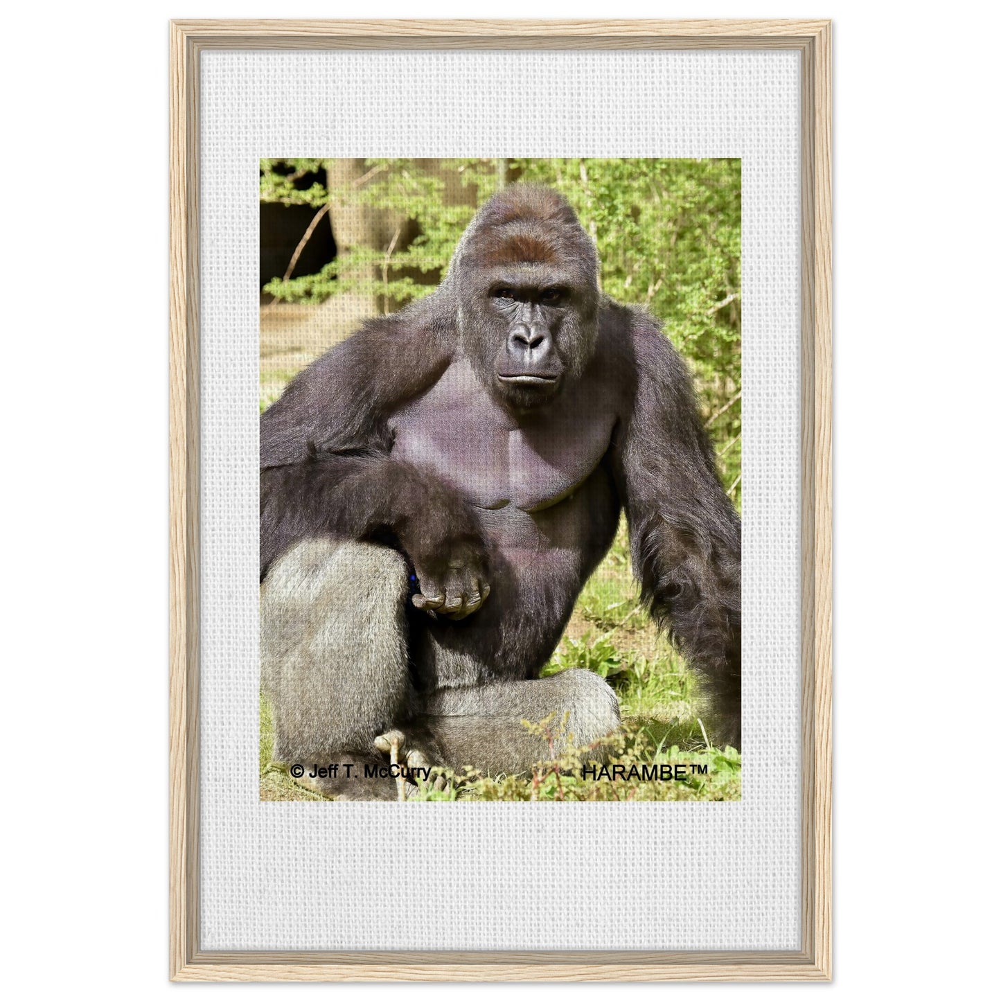 8aa6141a-bb1e-46e7-8f62-197770833ed3