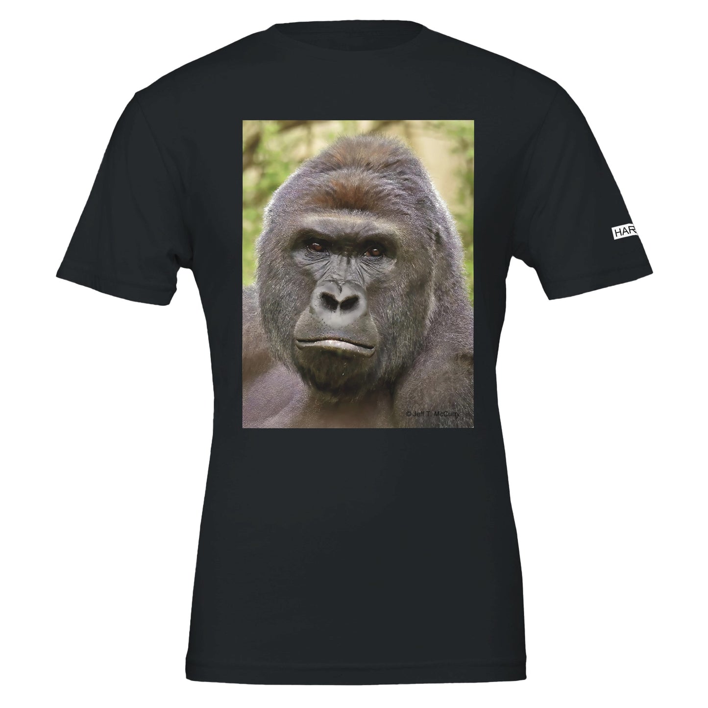 8c534a9d-b2a5-470e-91ac-68aa92bd417b