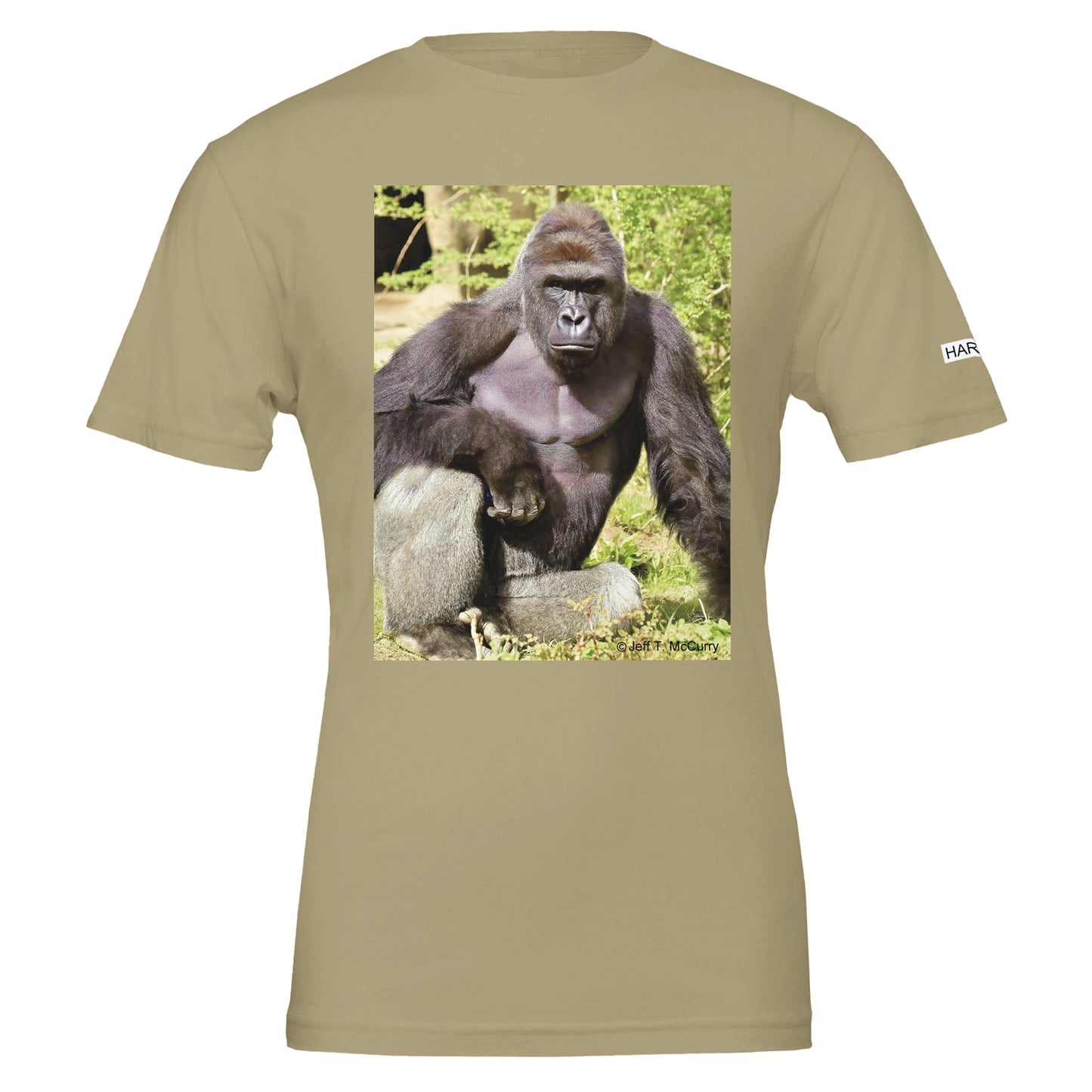 9304d1d2-bcae-40d2-9ef4-51e6ae56c9d7