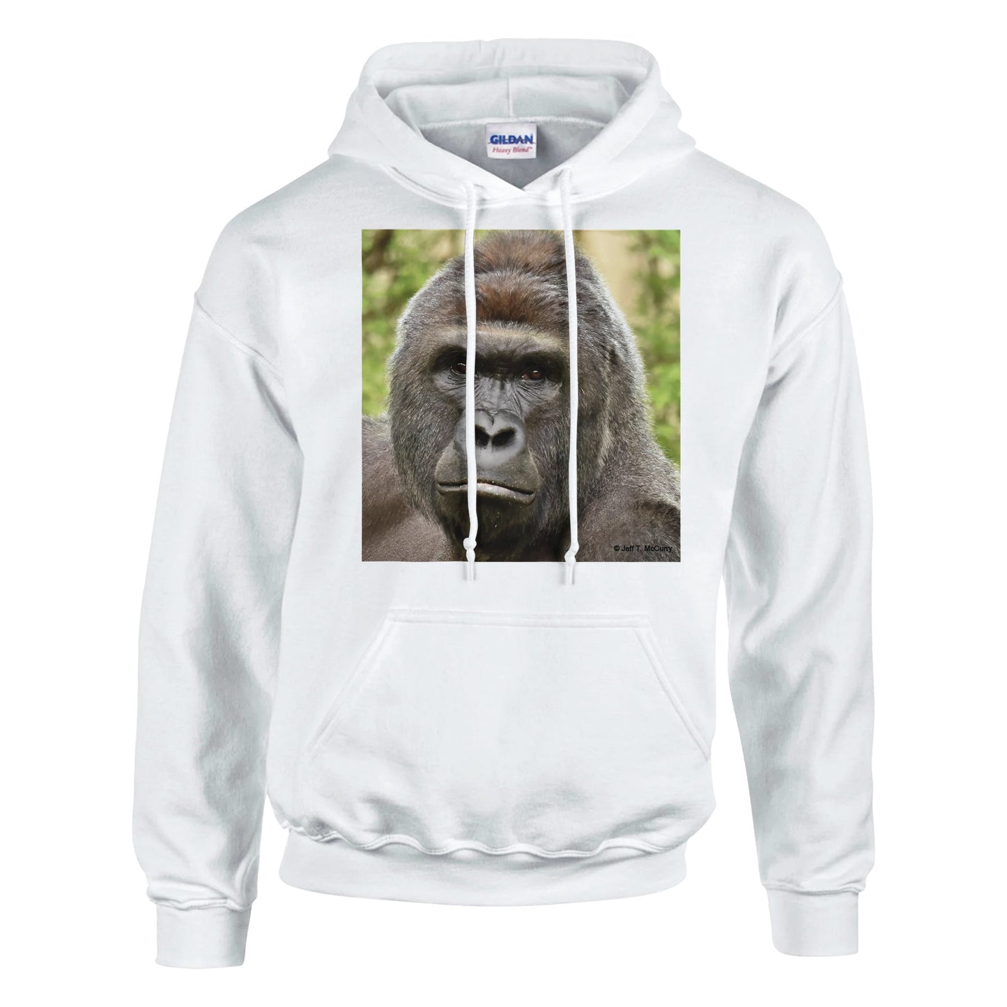 969b8123-b7c4-42c2-8853-7614ec1c0d86