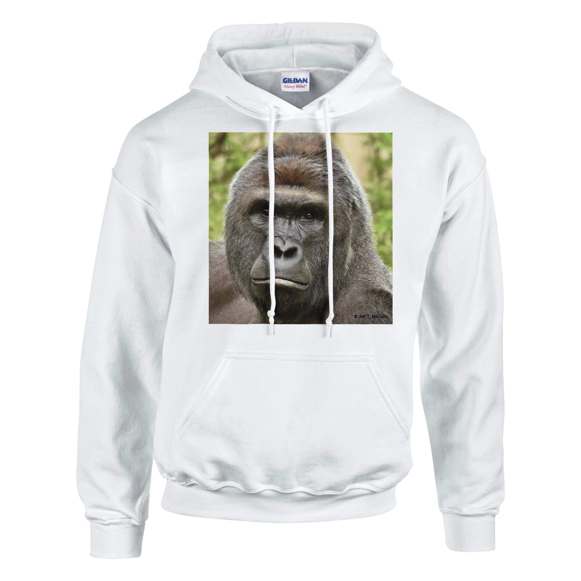 969b8123-b7c4-42c2-8853-7614ec1c0d86