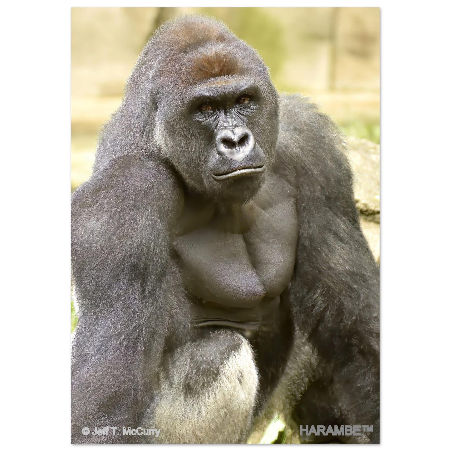 98915292-ee56-46a1-97b0-9773fd893056