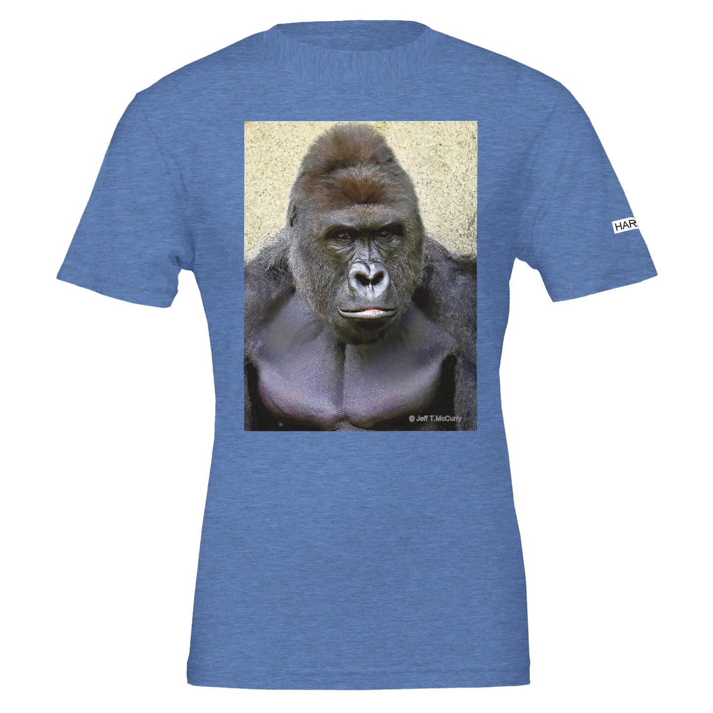 99331043-1d34-456e-9861-55980df760b6