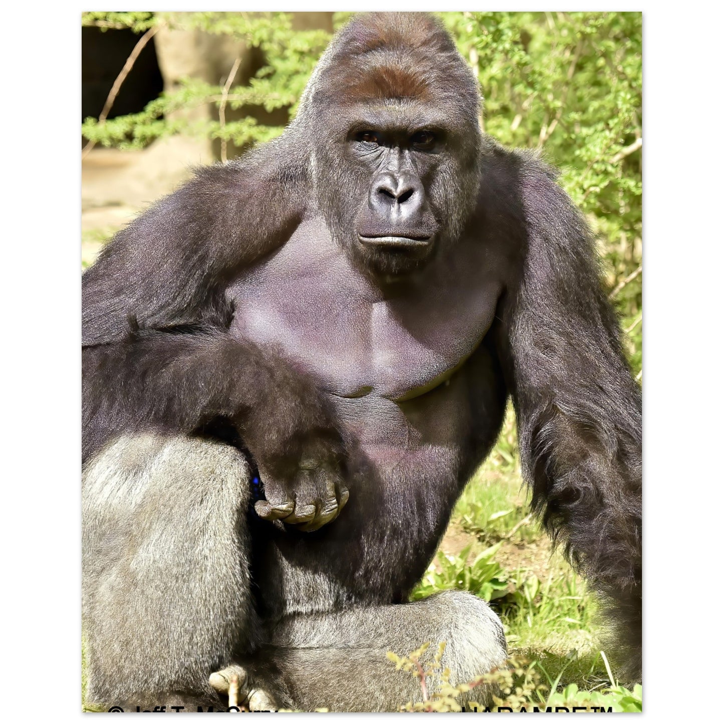 9a14b18b-2f72-4ee6-92ce-43487c6788aa