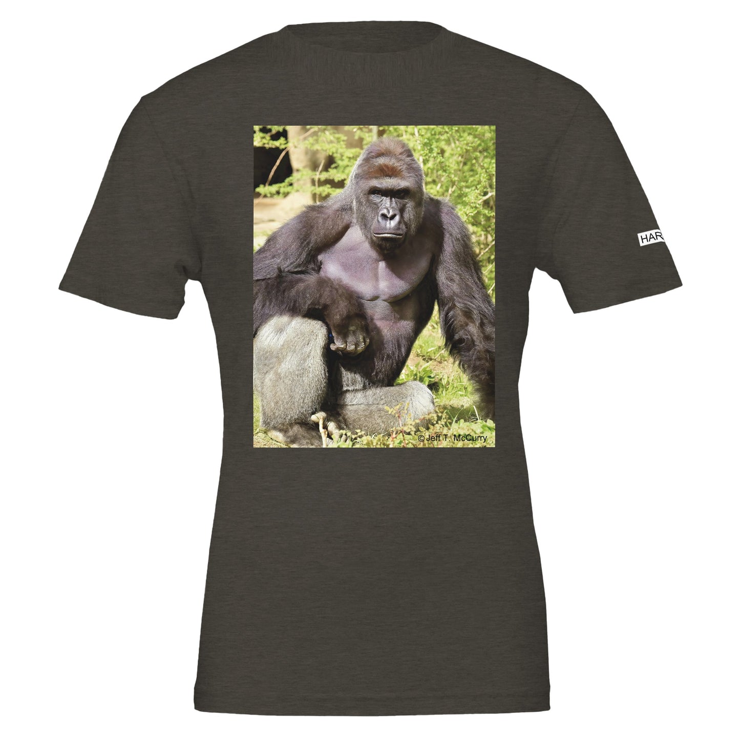 9c1b8ad6-450d-481a-acfc-18bbedf87d8c