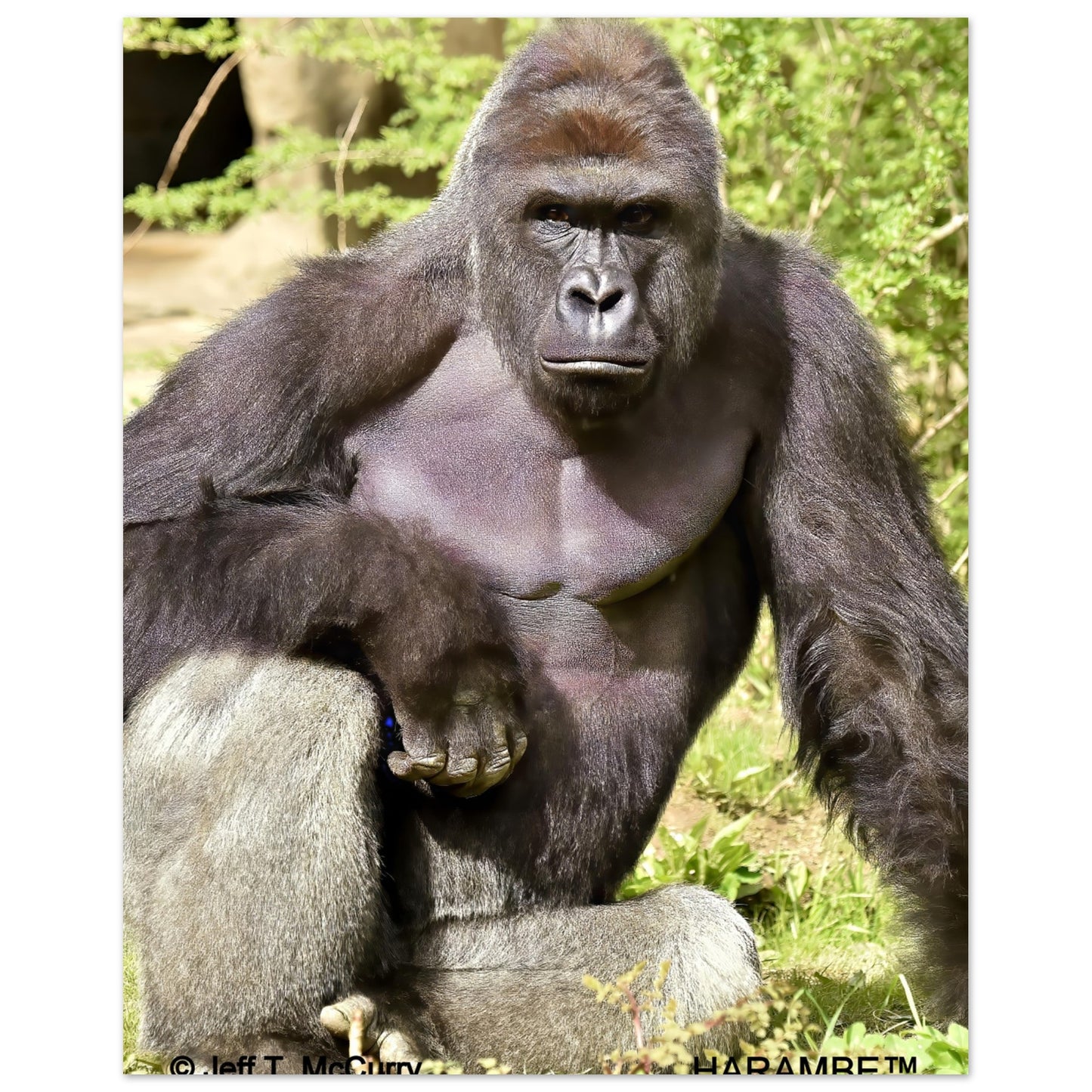 9f2145d7-9dc3-47f3-b609-e1546ebfad3c