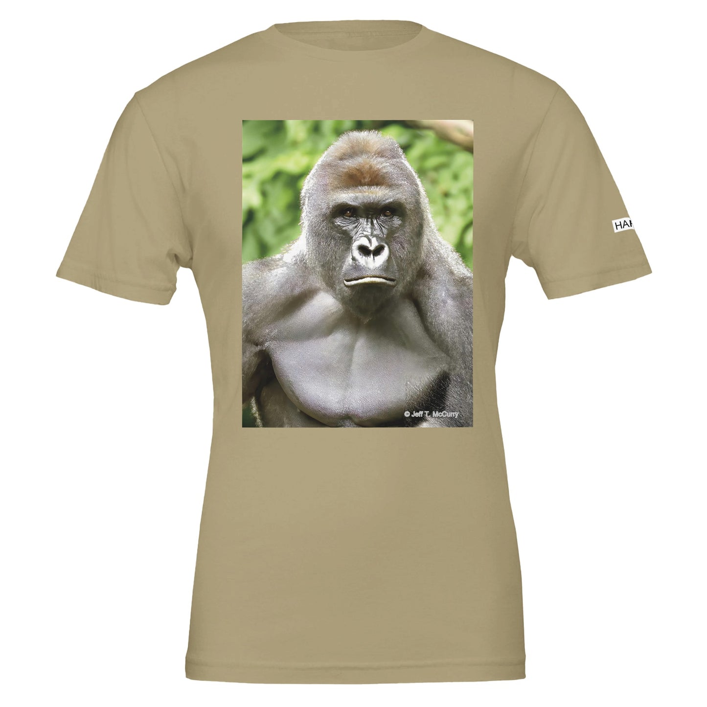 a03a45bc-71fc-486c-ab98-1b2f71c7ac8b