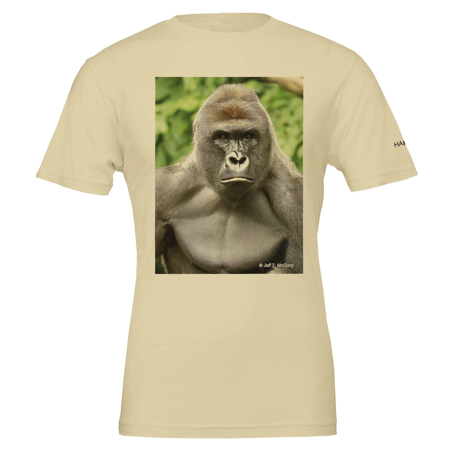 a0863fcb-cb45-4f2c-a2f5-93e6e7453ec5