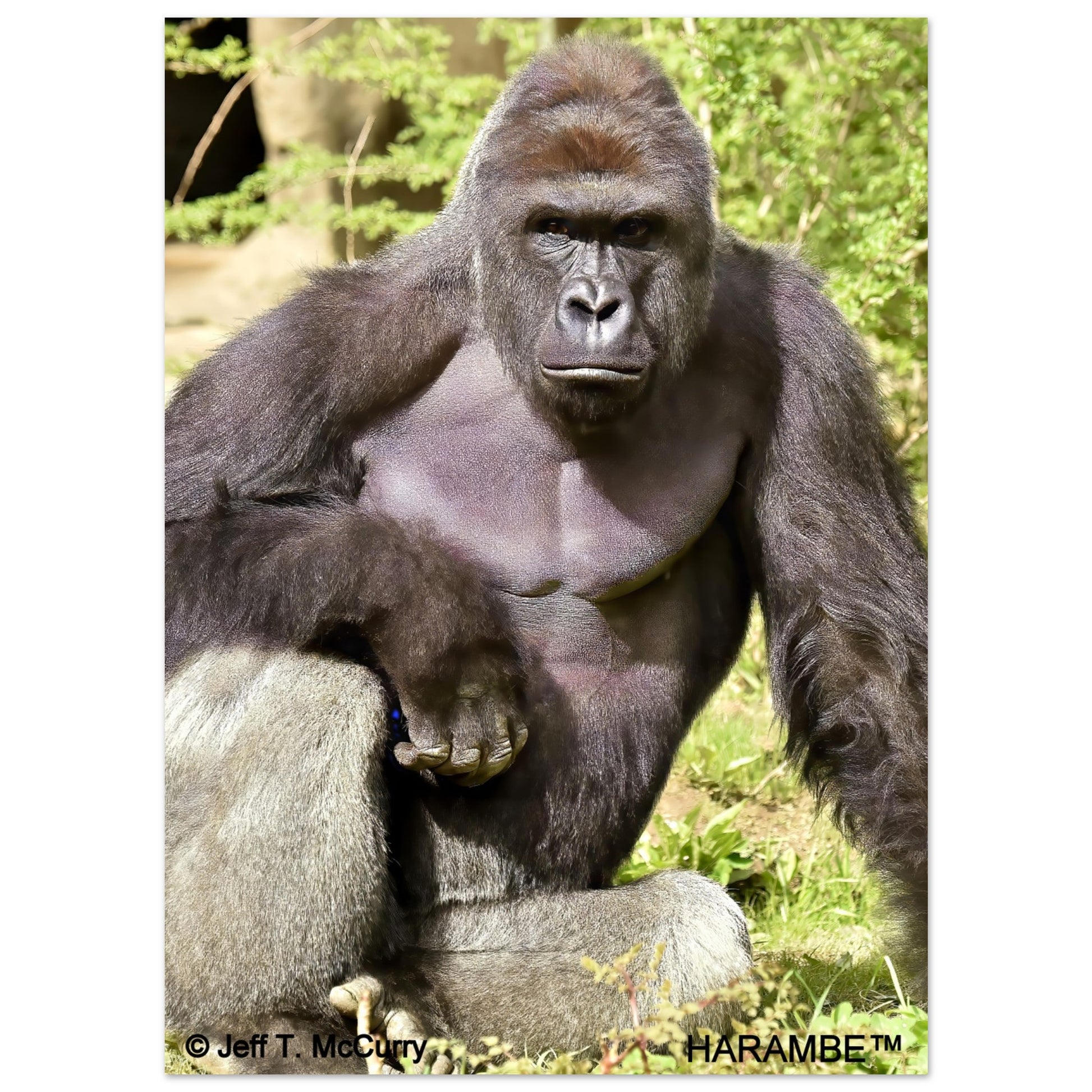 a1402996-a6d1-484c-96f8-5f4d3a068d5b