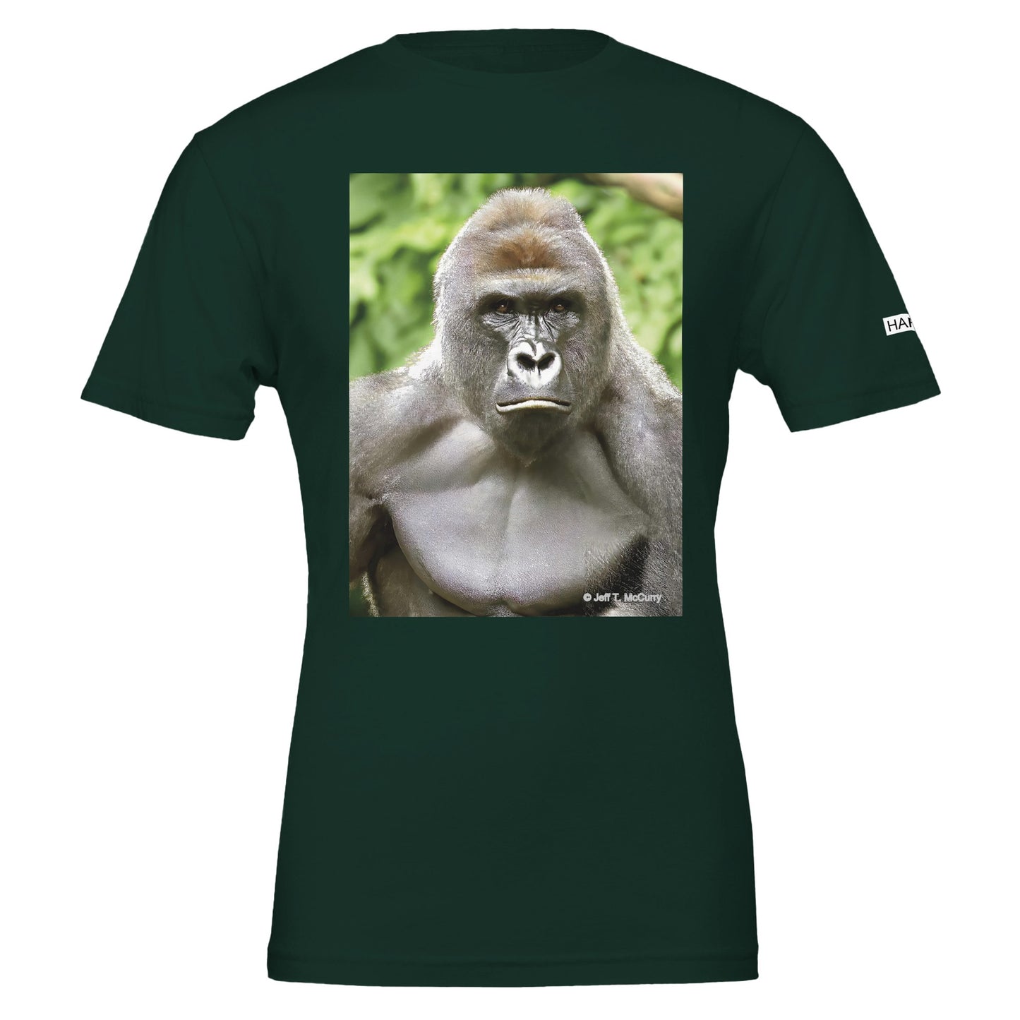 a4fa7d1a-b6fb-421d-8a98-de3211ad8171