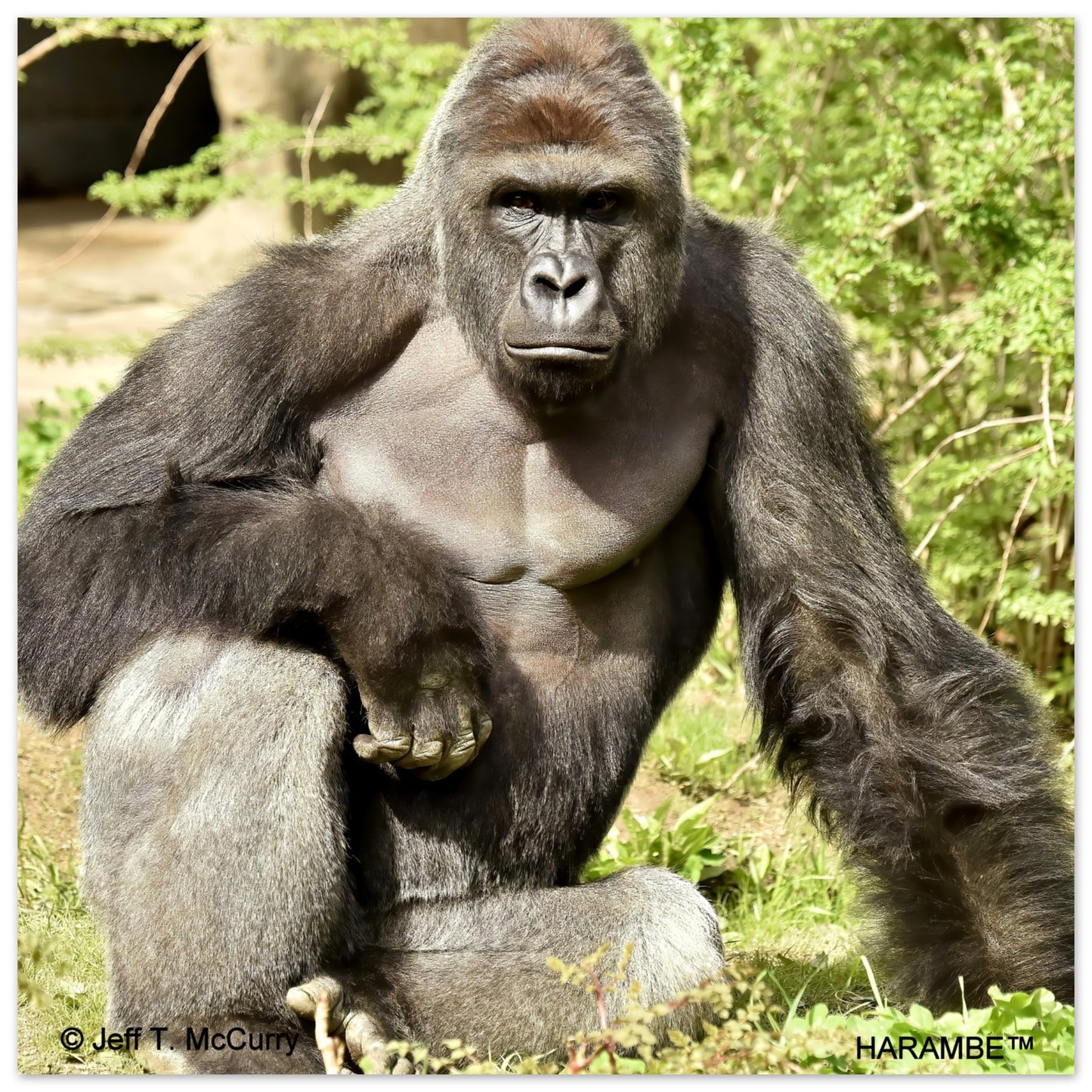 a6c90267-b917-416e-9564-8a1ed17a60ba