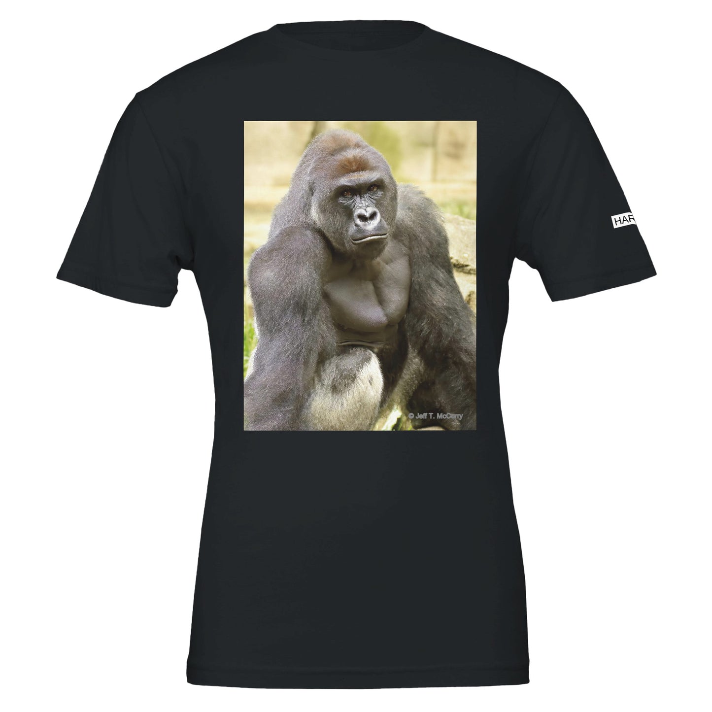 a6f0e9fc-4489-4630-9fc1-5a2e24644670