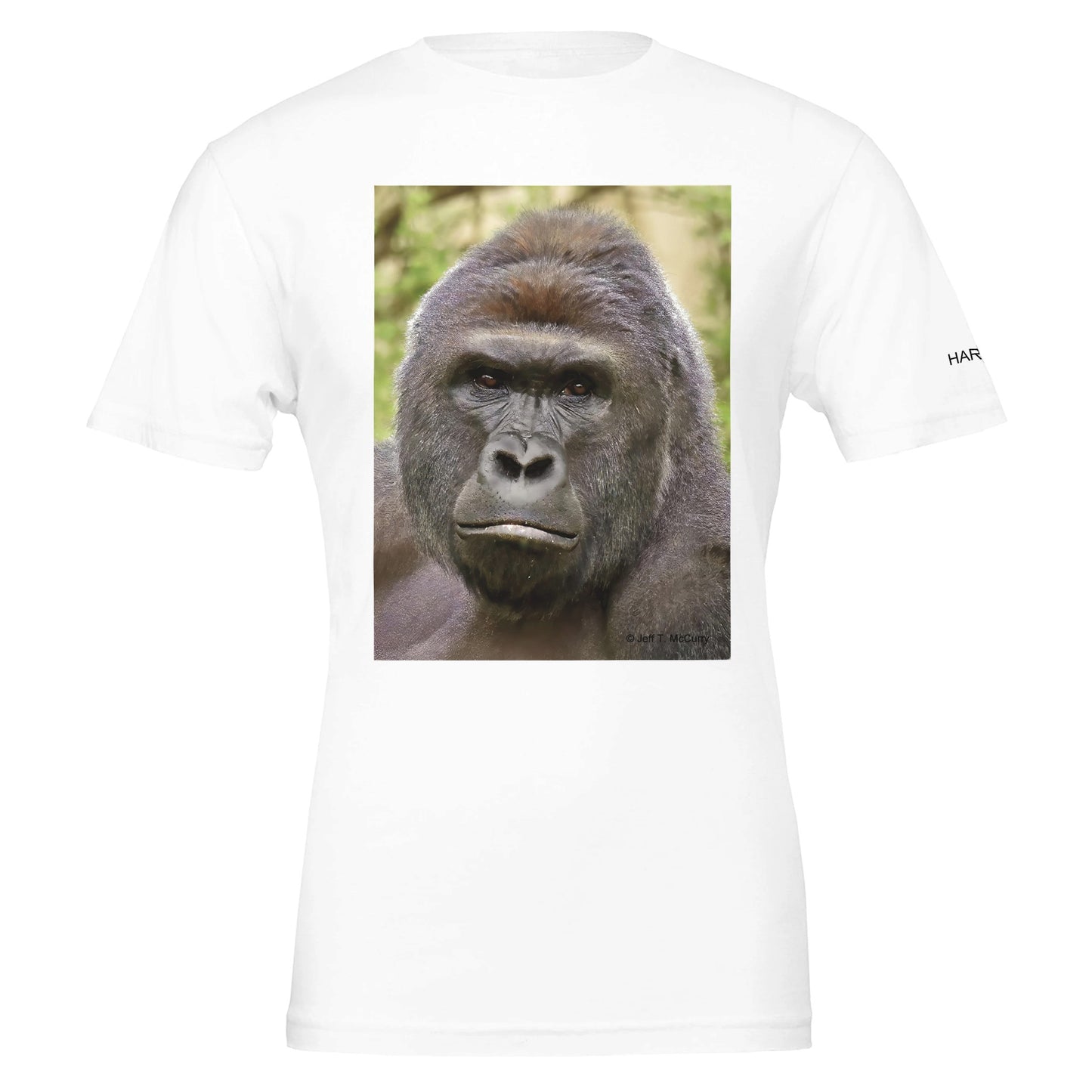 a970ae68-7e64-4956-b86e-91292eede69b