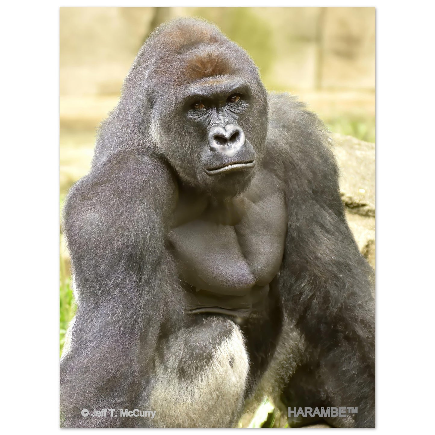 af57661a-d410-45c0-92fa-eef3cb88d759