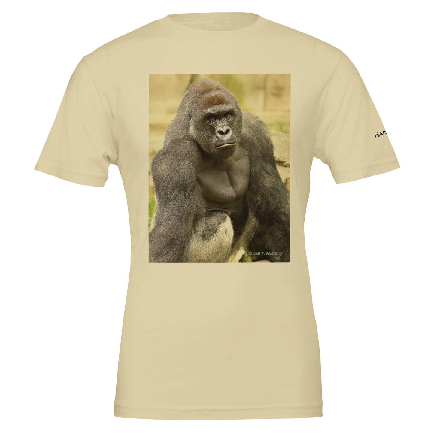 af8f996c-9ac0-4745-bb87-f7f1d0a2234b