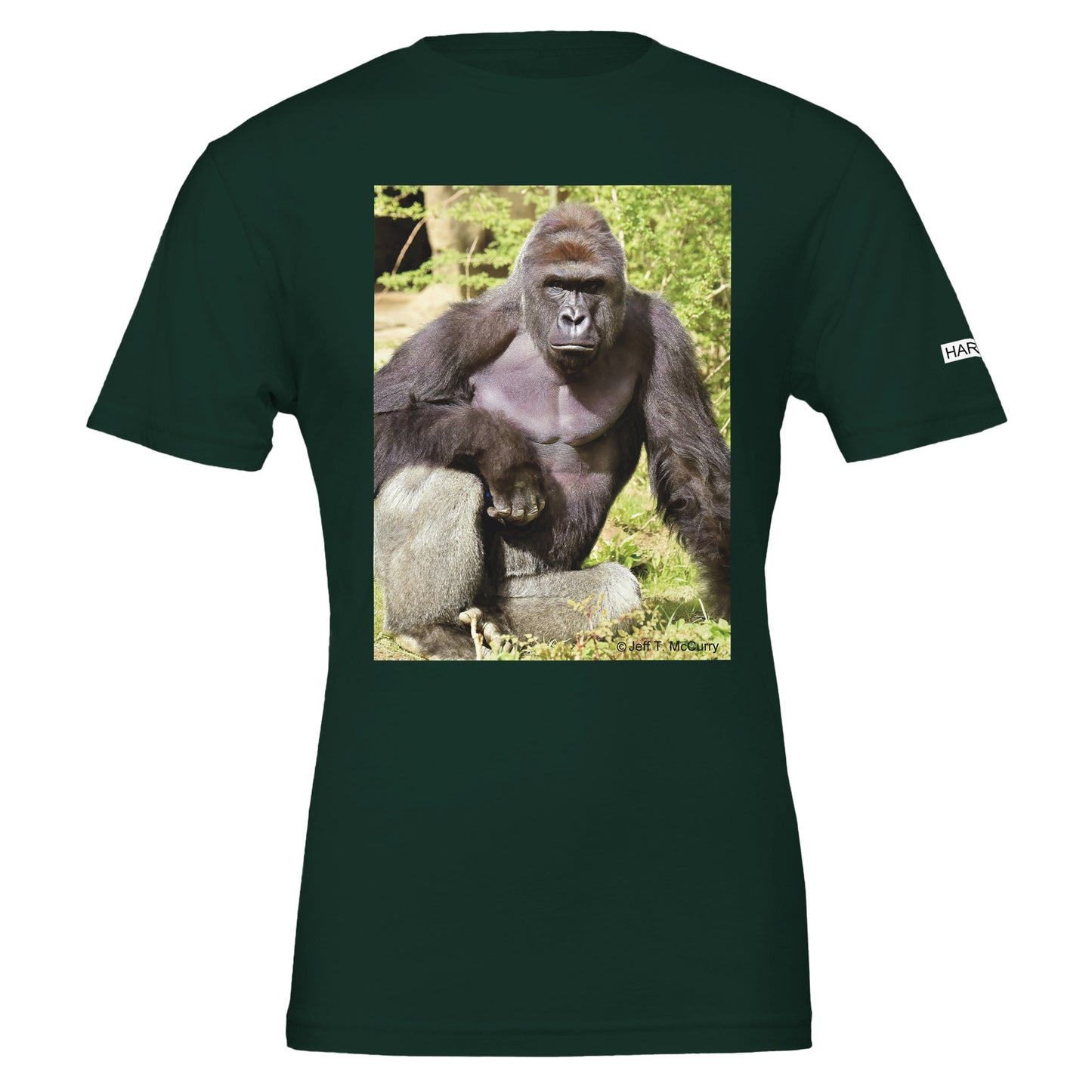 b34d27b5-0830-4f6d-b90d-f5ad733d7030