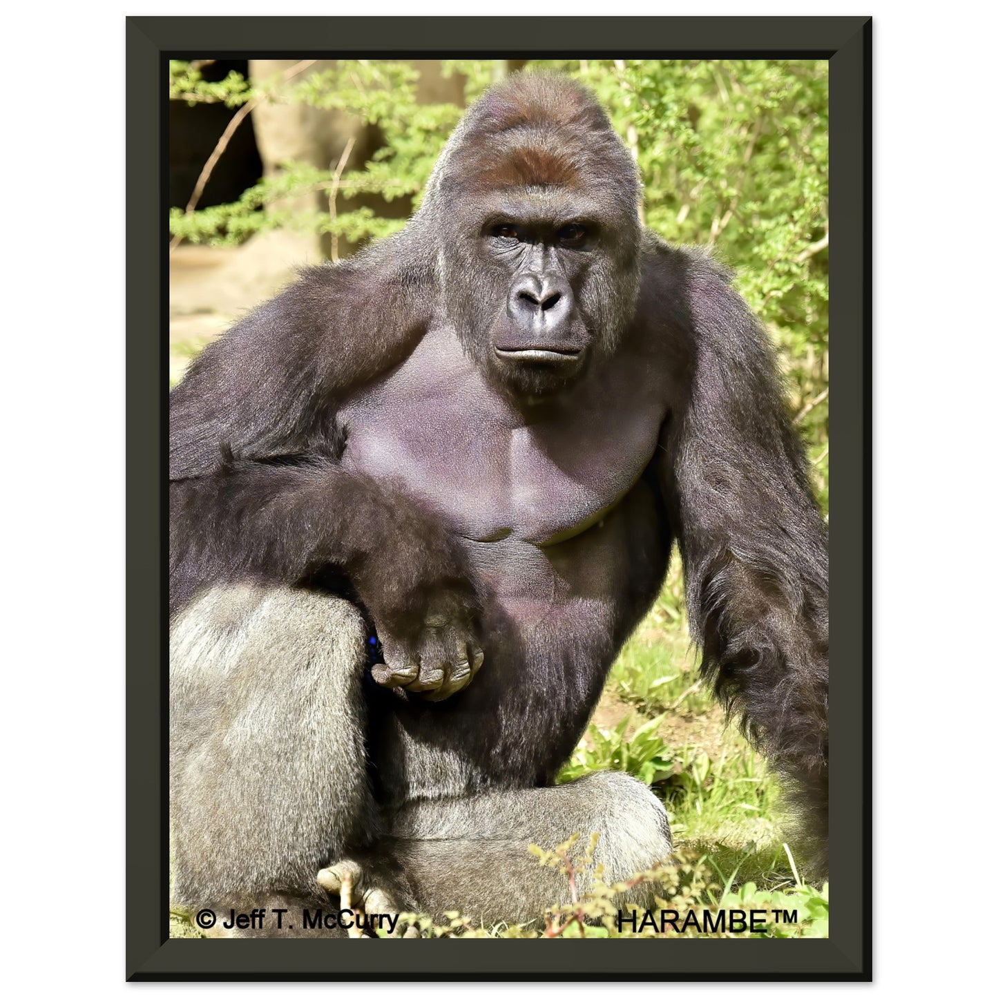 b4b25b14-16a3-453e-9ad3-e72371fc0013