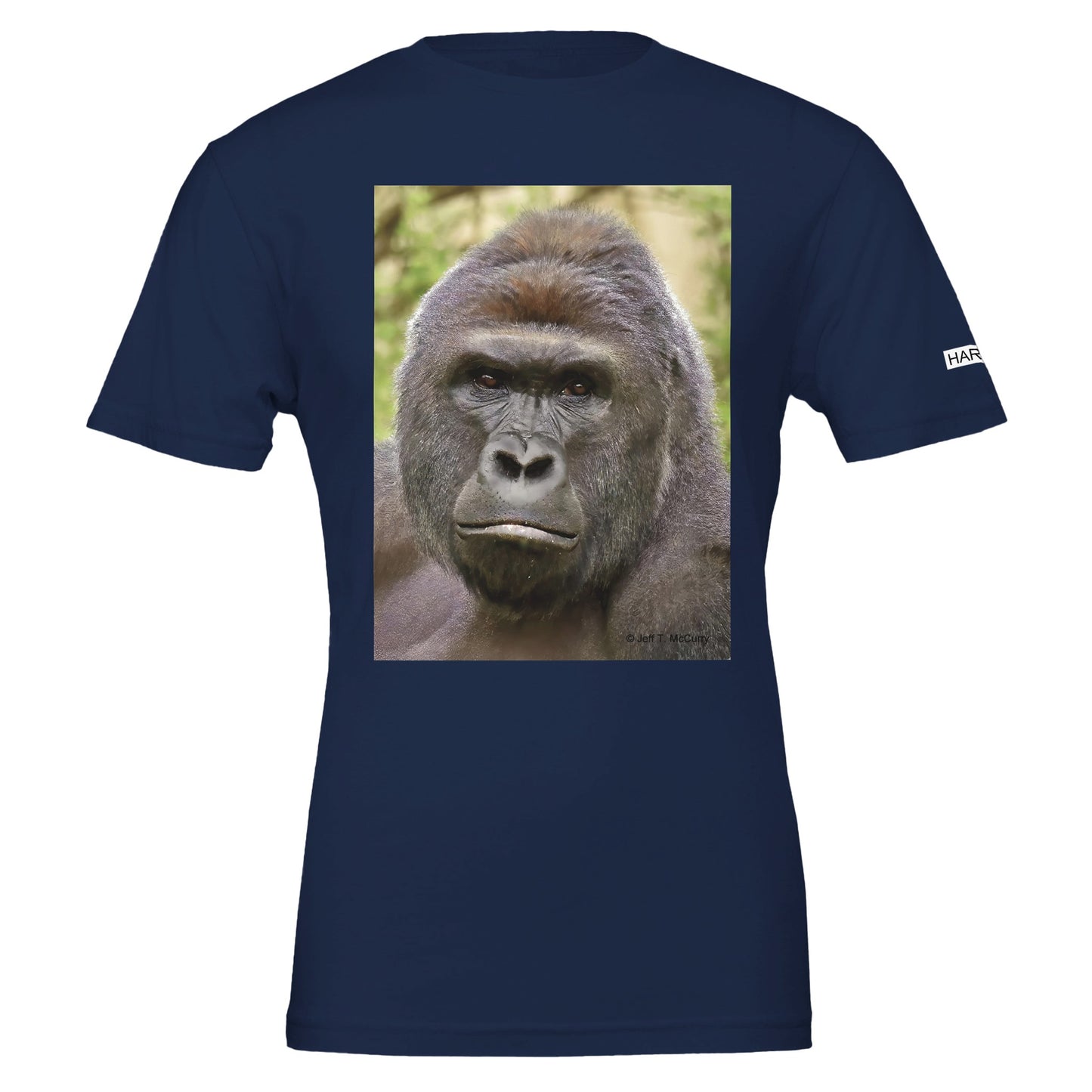 b54b65df-c530-4efc-bb77-637bef2cd513