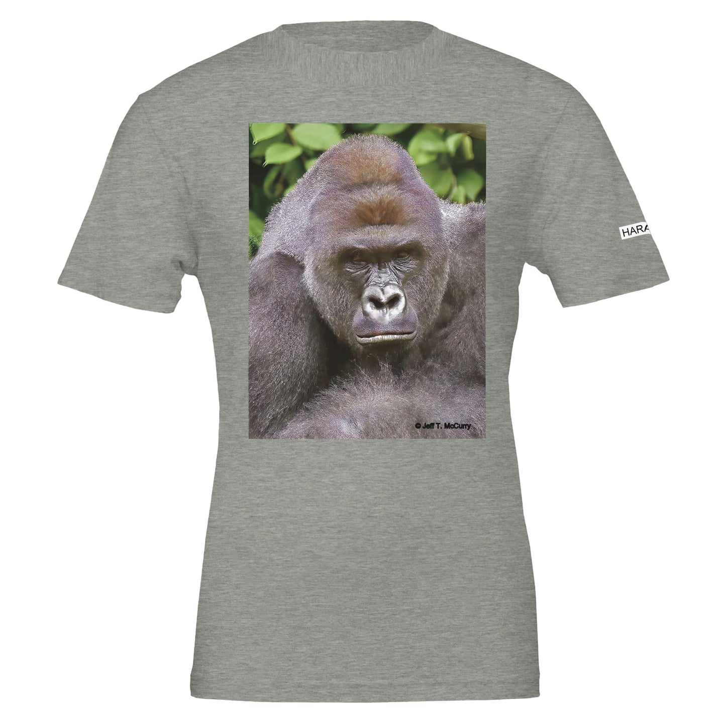 b55829d1-e94b-4cbd-9175-399774334184